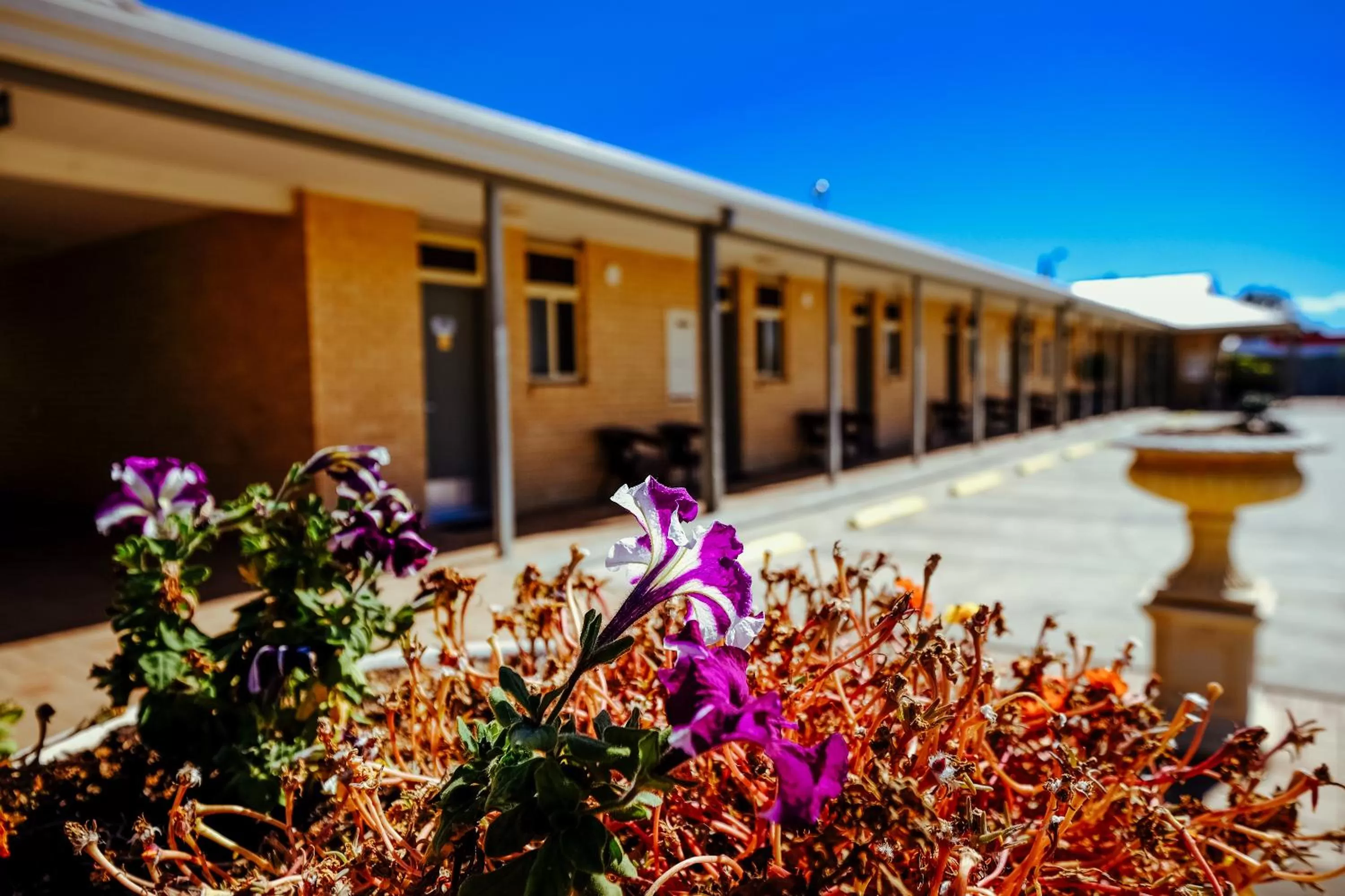 Property building in Club Motor Inn