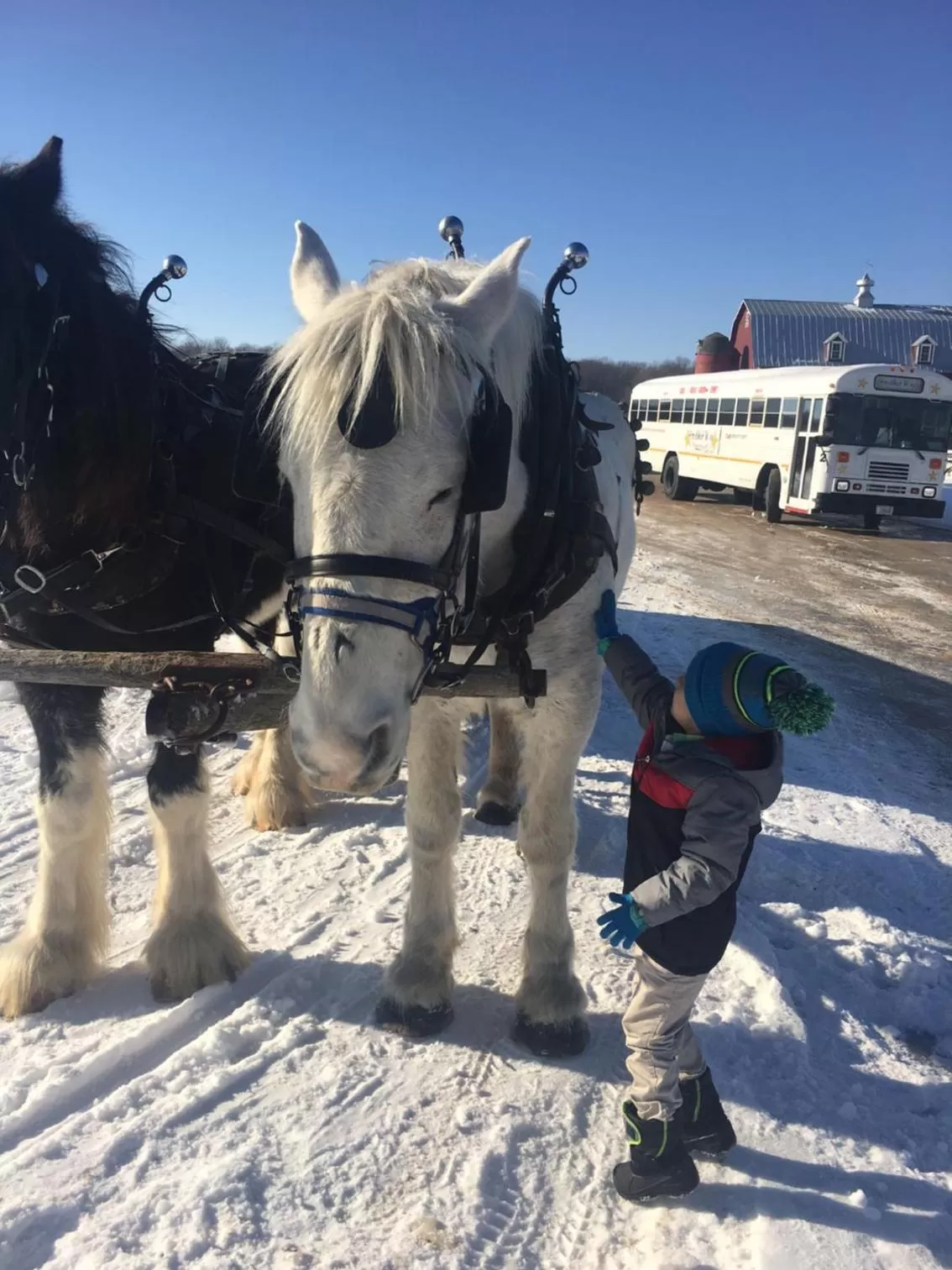 Activities in Lull-Abi Inn