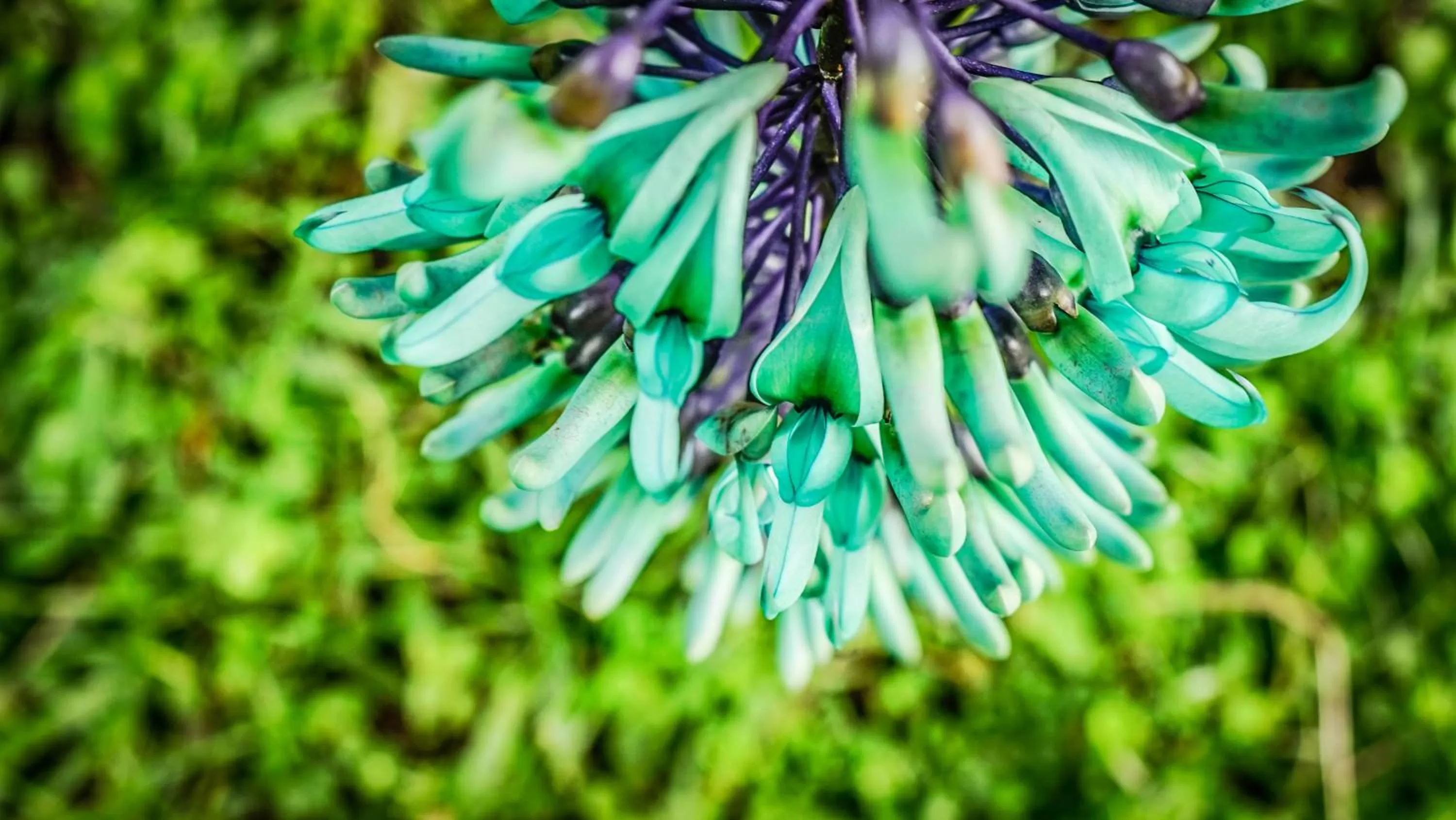 Off site in Balsora Hotel Boutique