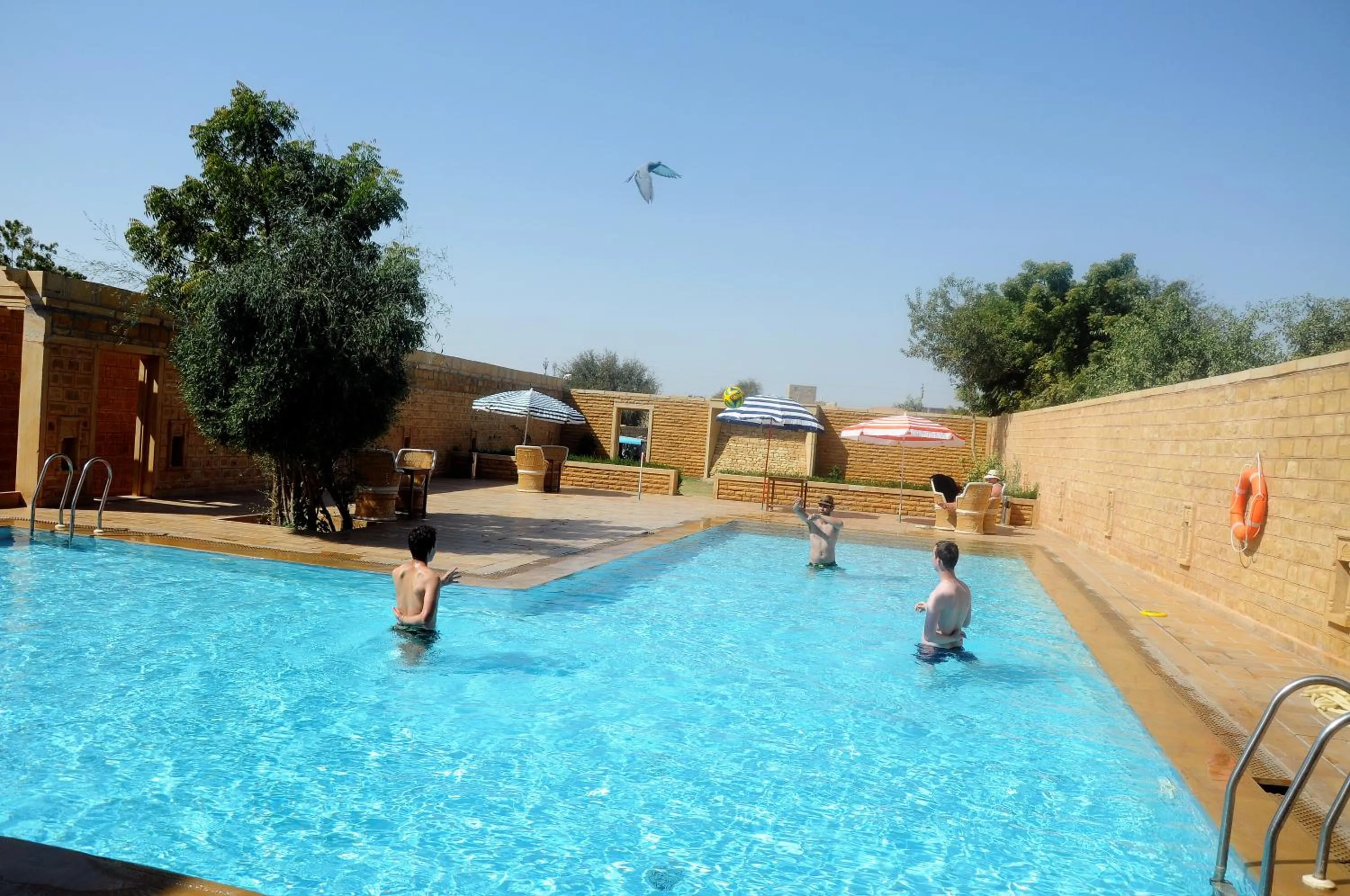 Swimming pool in Hotel Golden Haveli