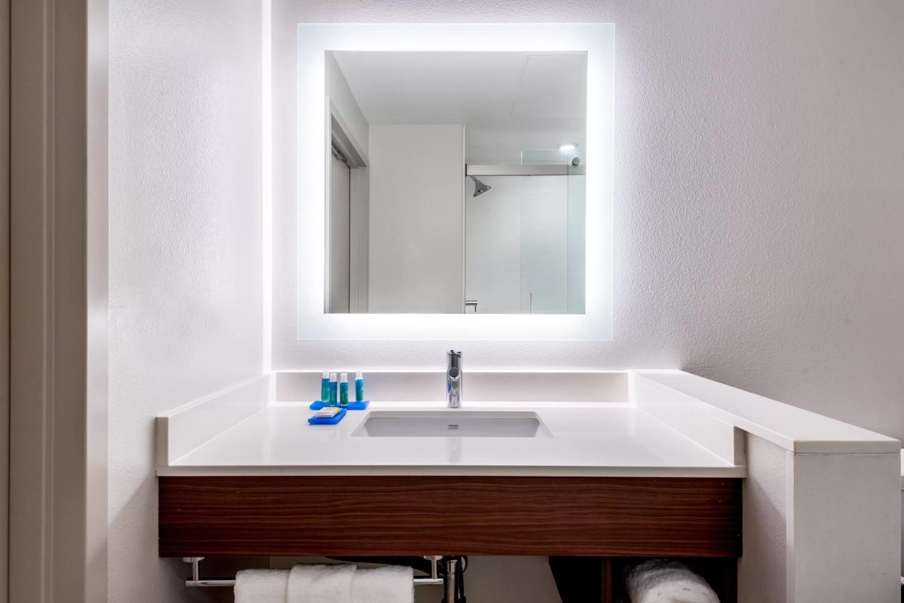 Bathroom in Holiday Inn Express & Suites Santa Ana - Orange County by IHG