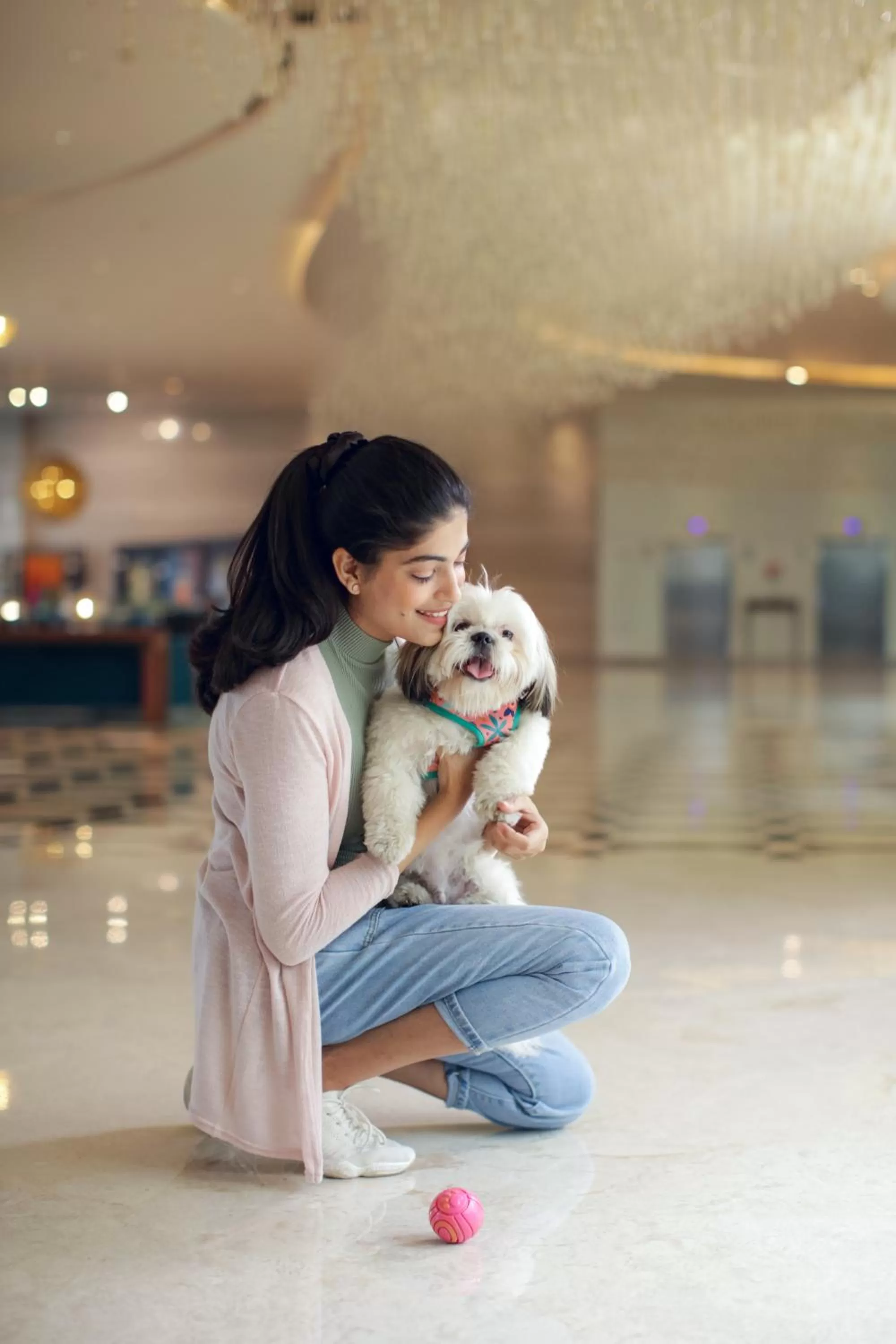 Pets in Novotel New Delhi Aerocity