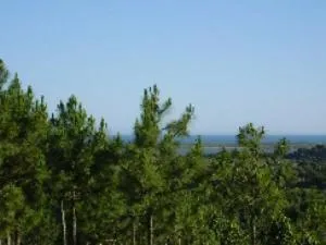 View (from property/room) in Hotel San Miguel