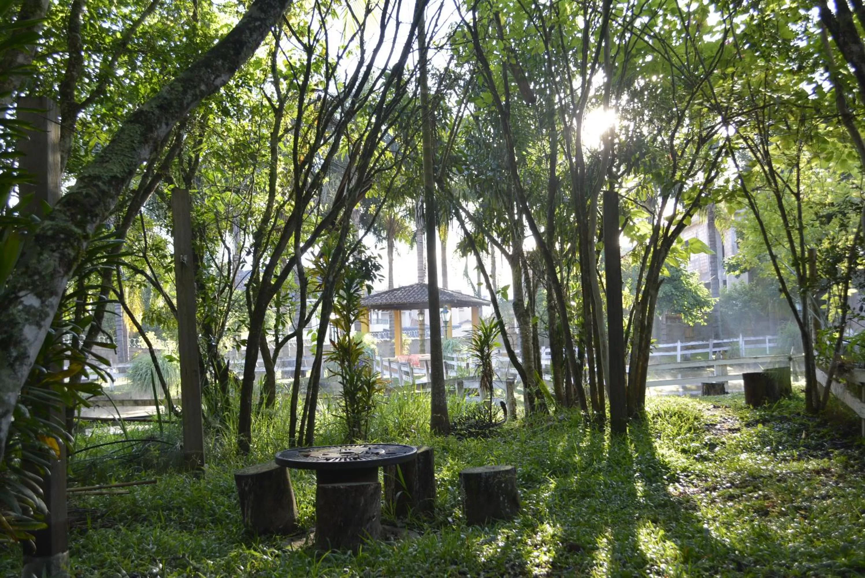 Garden view in Vila Chico
