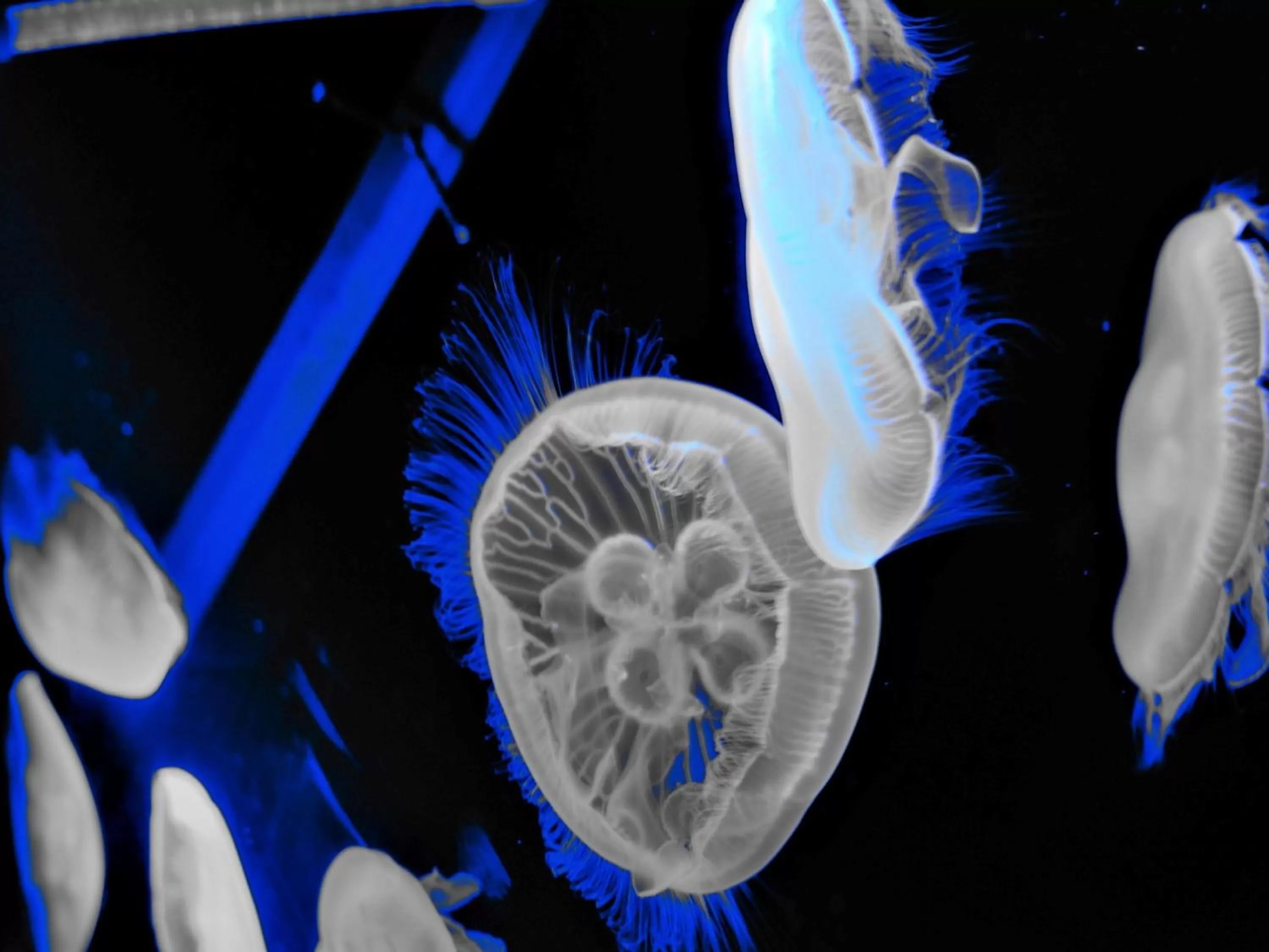 Nearby landmark in Hotel Wing International Kyoto - Shijo Karasuma