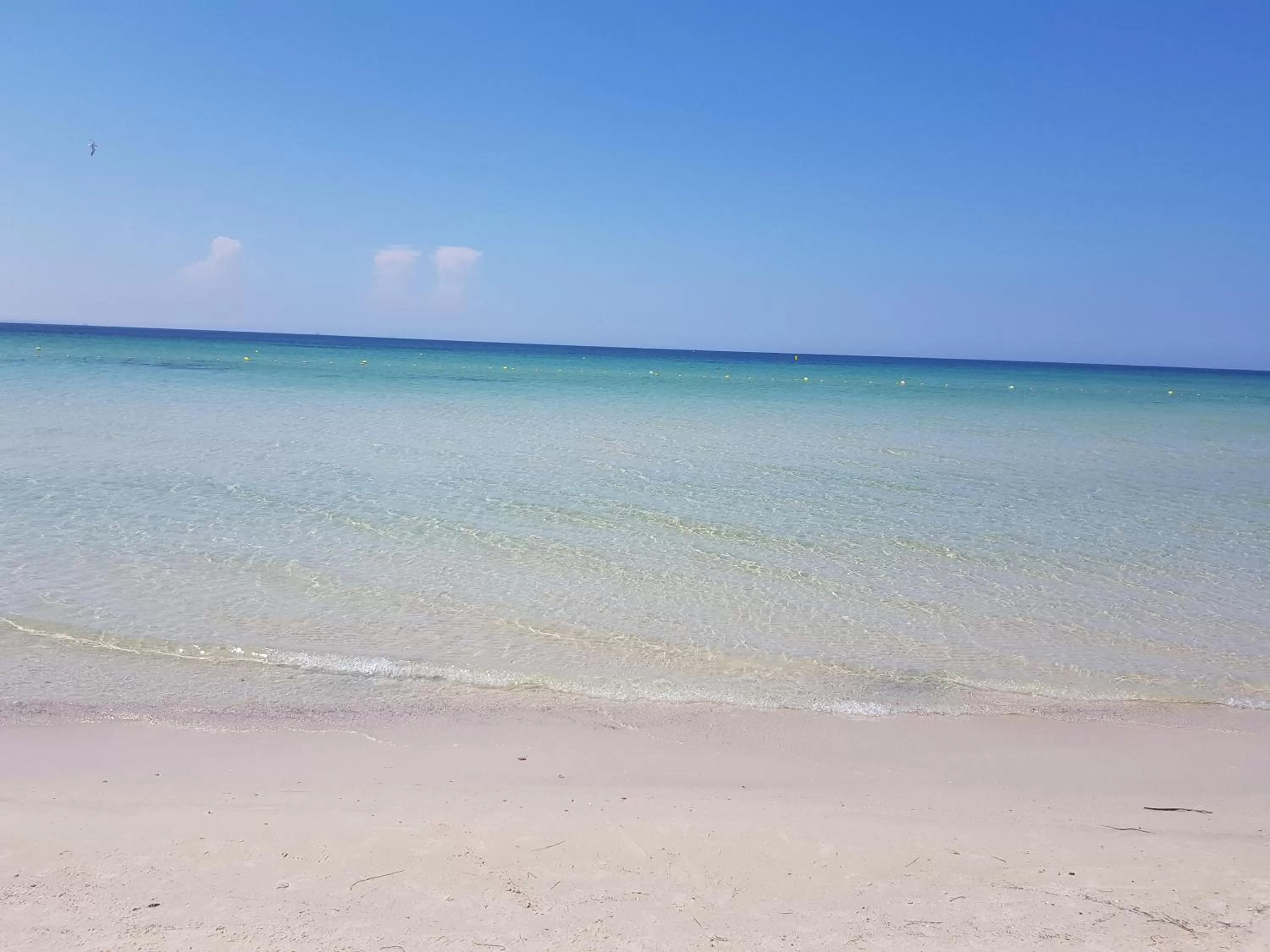 Royal Thalassa Monastir