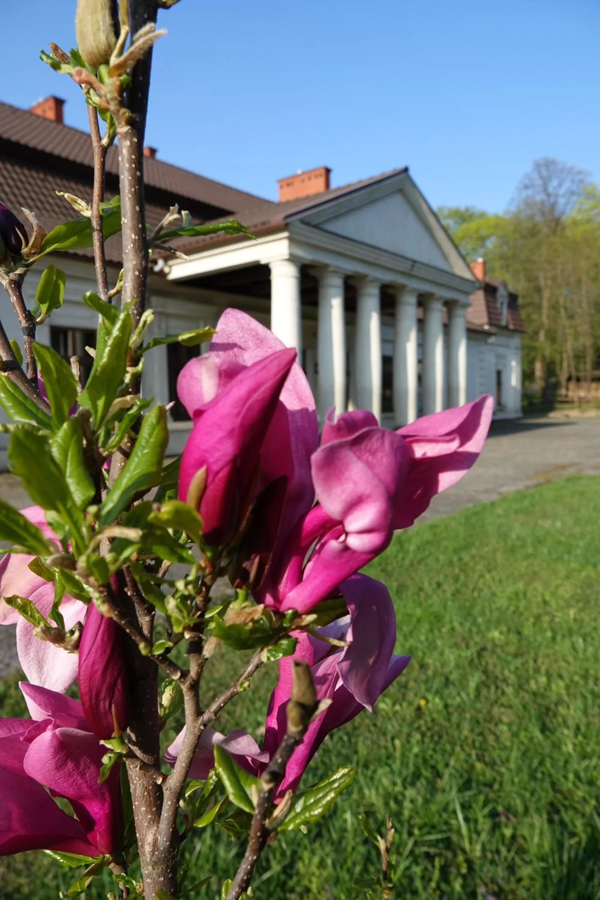Property Building in Gościniec Dworski w Ropie