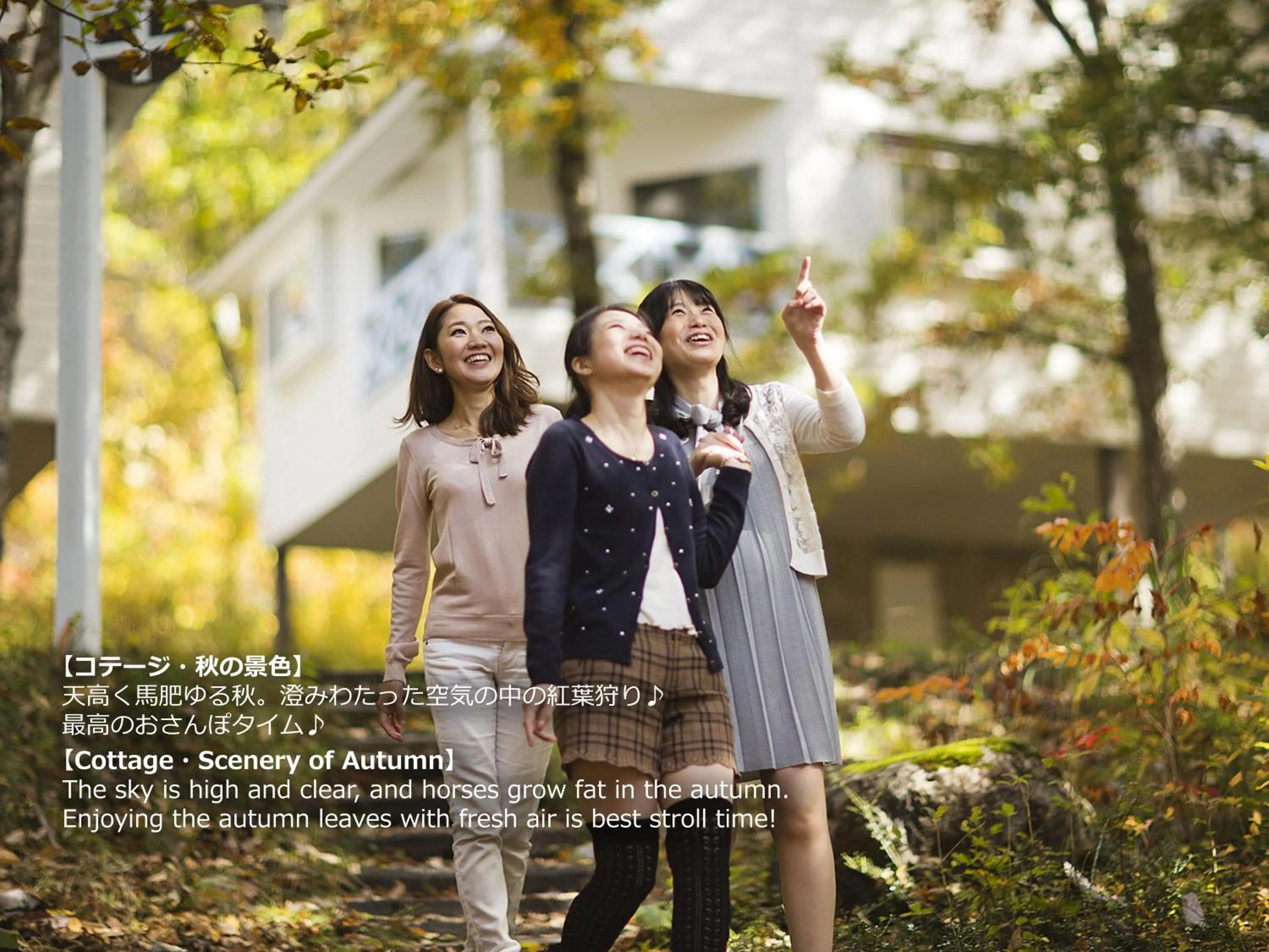 Autumn in Resort Villa Takayama