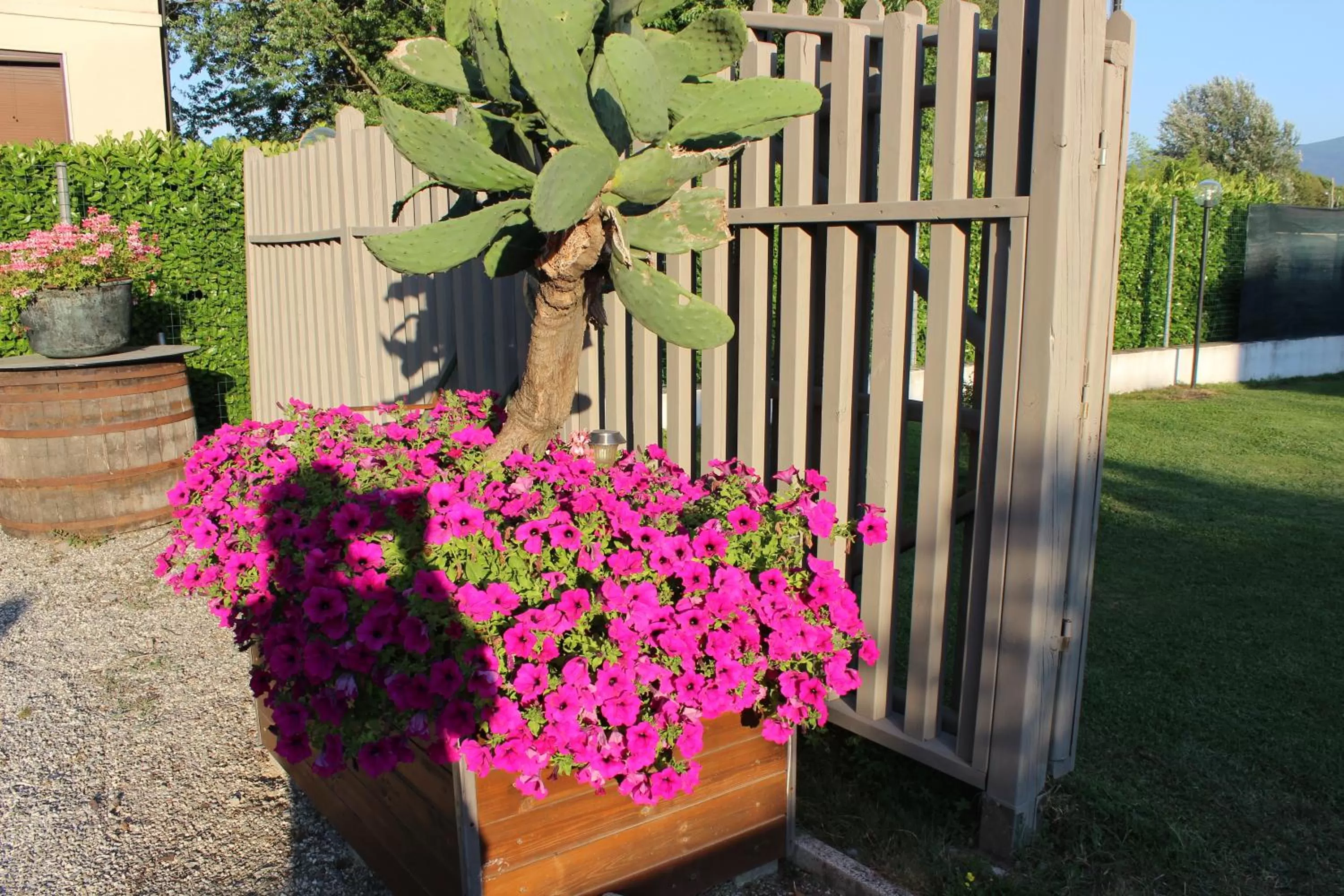 Facade/entrance in B&B Il Casale di Nanni