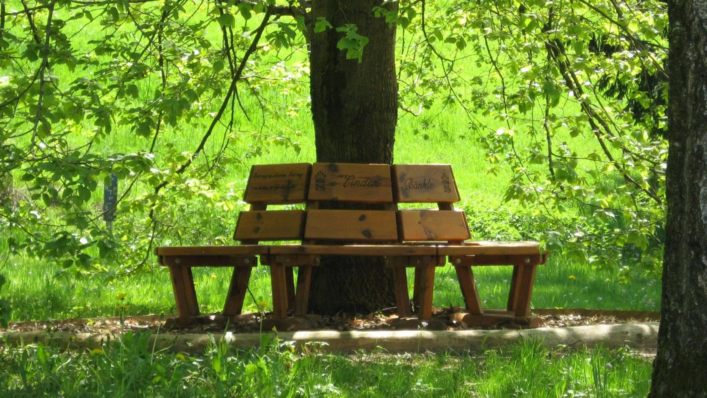 Area and facilities in Silberkönig Schwarzwald Hotel & Restaurant Ringhotel