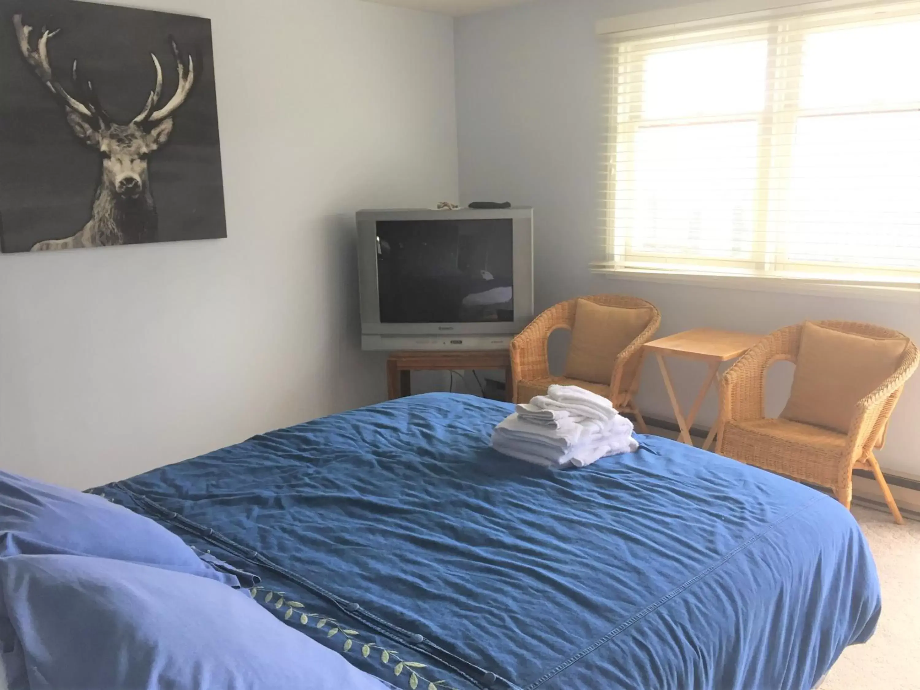 Double Room with Mountain View in Misty River Lodge Double Room with Mountain View in Misty River Lodge