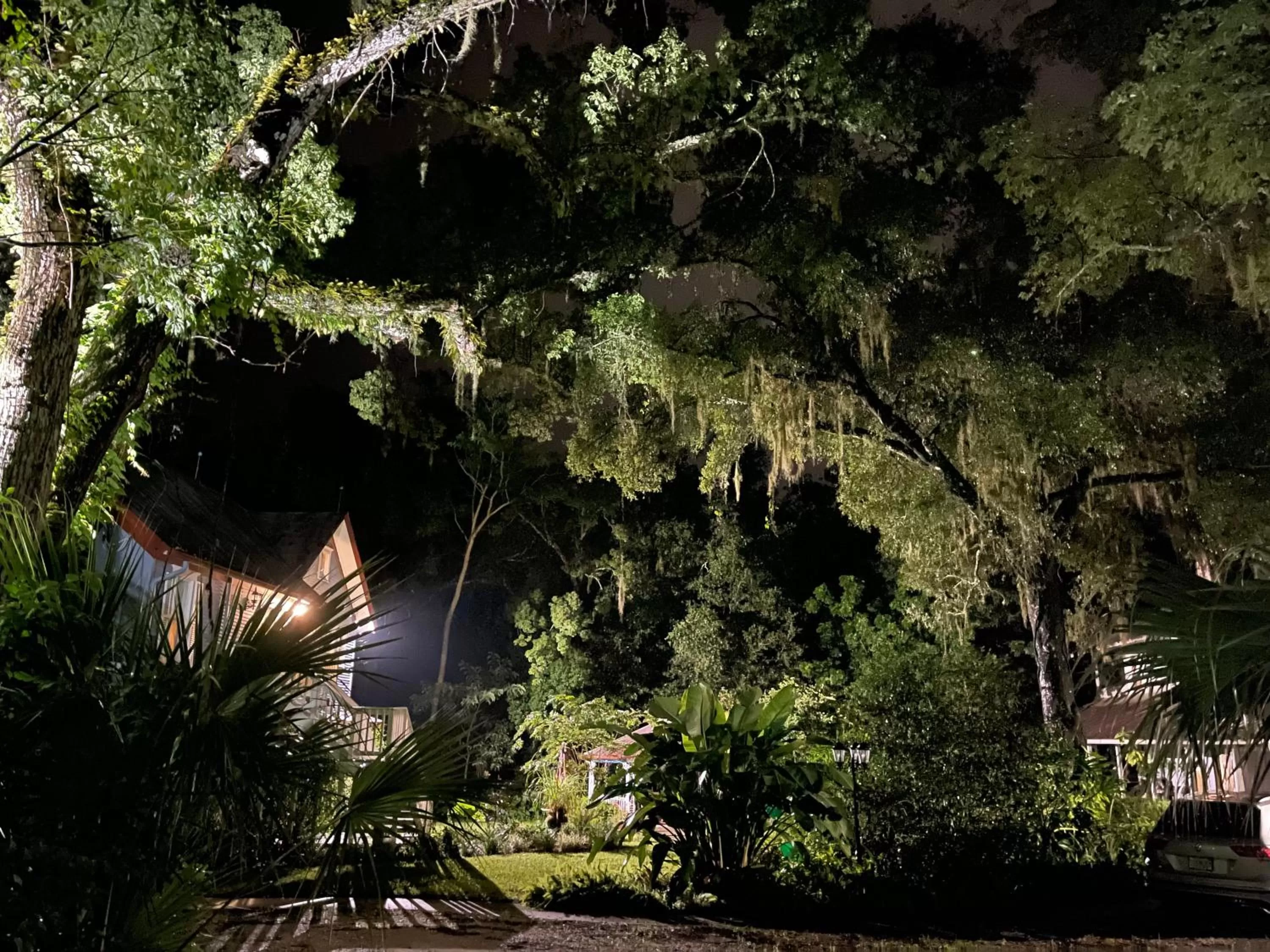 Night in The Ann Stevens House