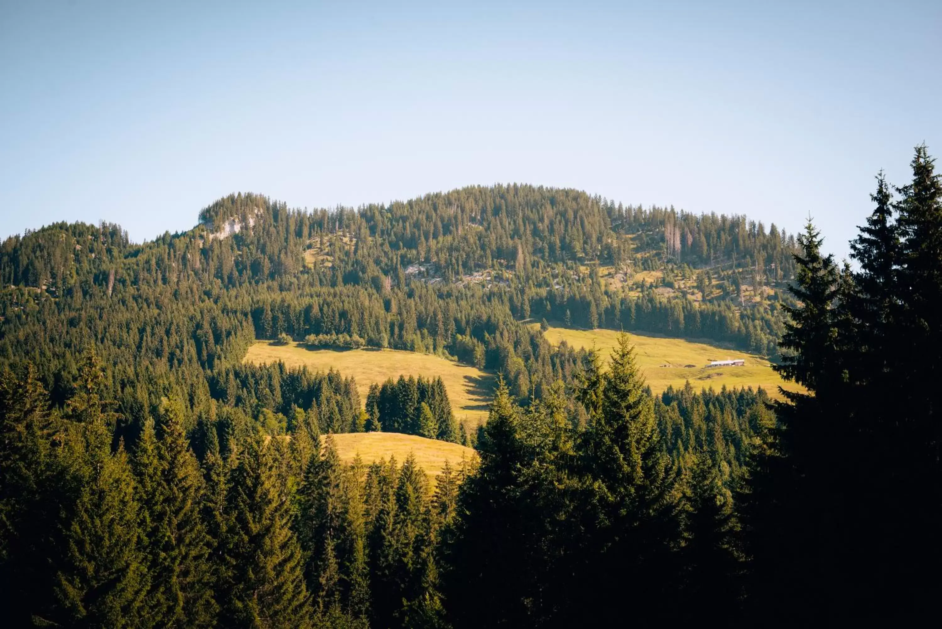 Apartment in Alpengasthof Hörnlepass Apartment in Alpengasthof Hörnlepass
