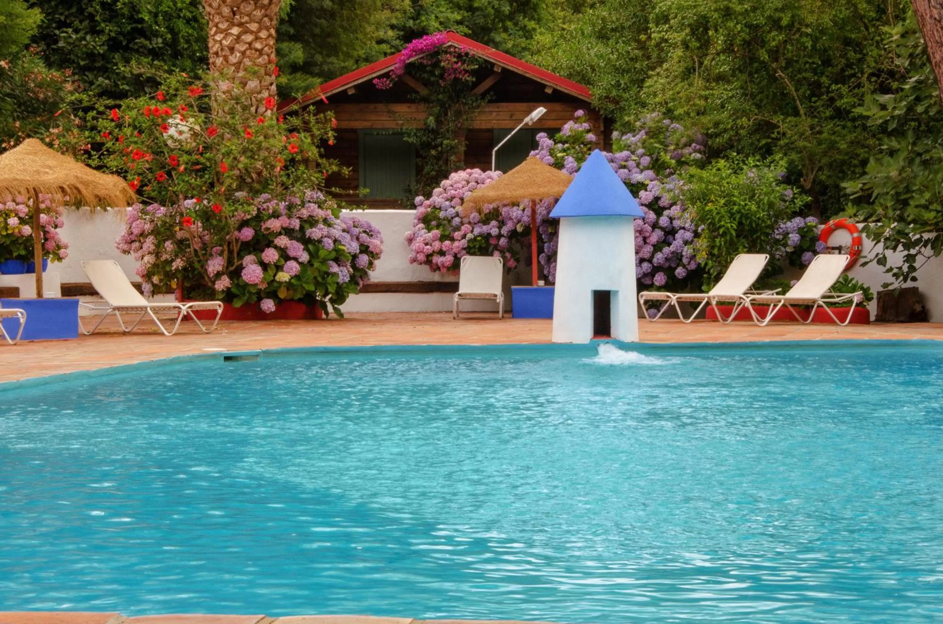 Swimming pool in Mesón de Sancho