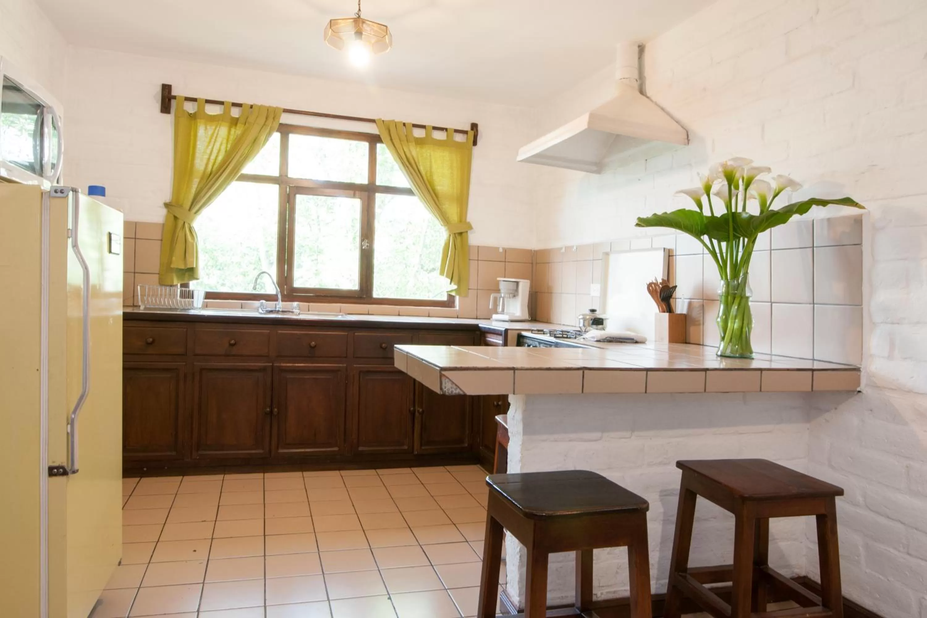 Coffee/tea facilities, Kitchen/Kitchenette in Apartamentos Otorongo Cuenca Ecuador