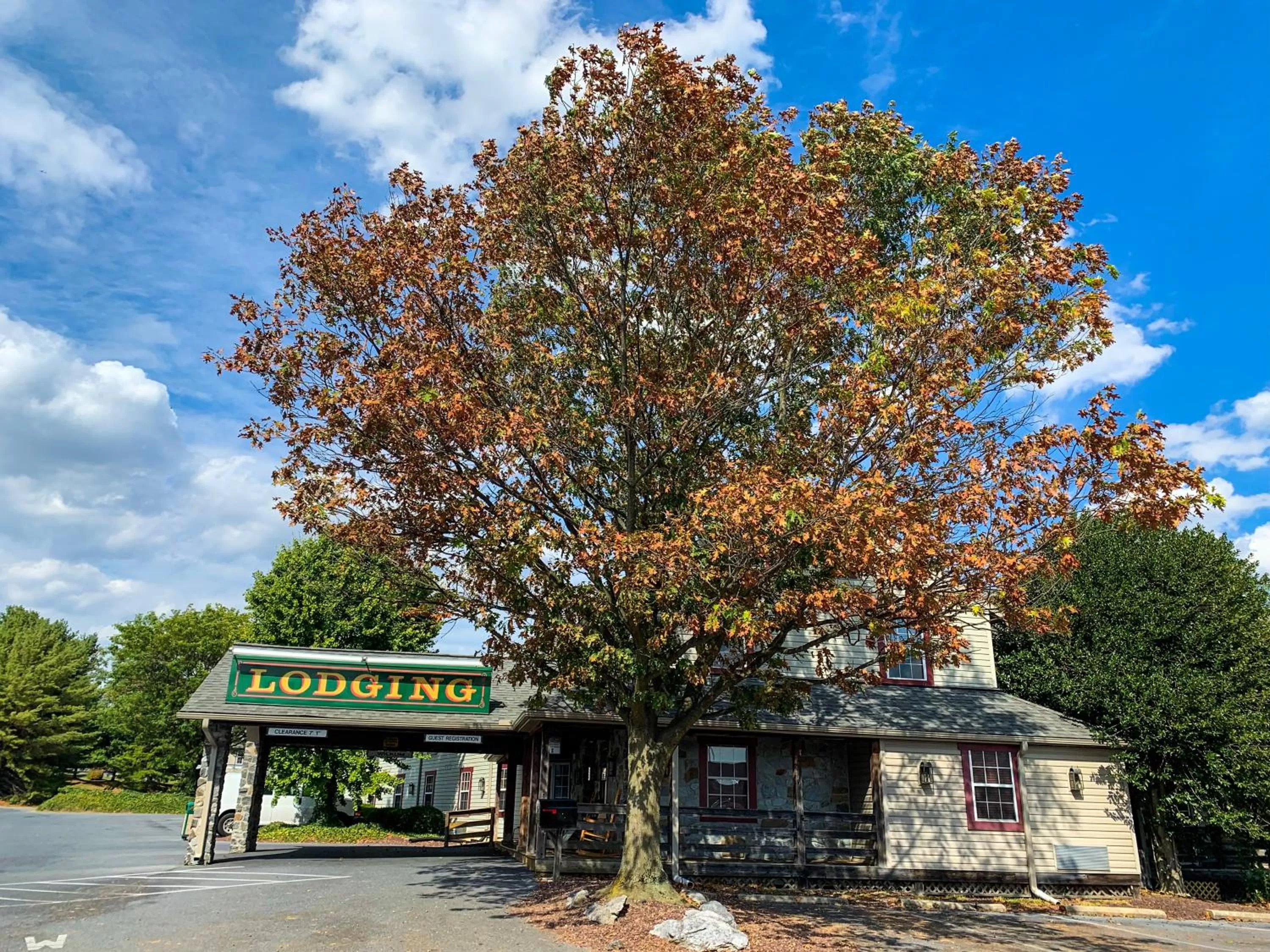 Facade/entrance in The Country Inn of Lancaster