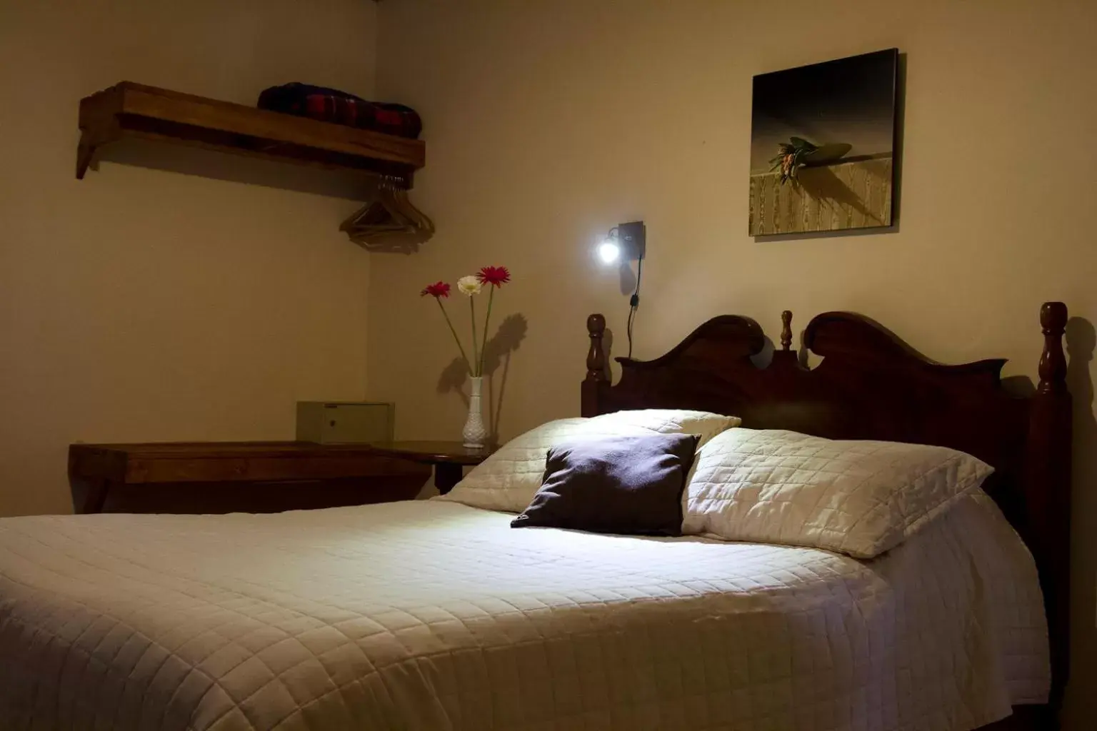 Standard Double Room - single occupancy in Hotel Ave del Paraíso Standard Double Room - single occupancy in Hotel Ave del Paraíso