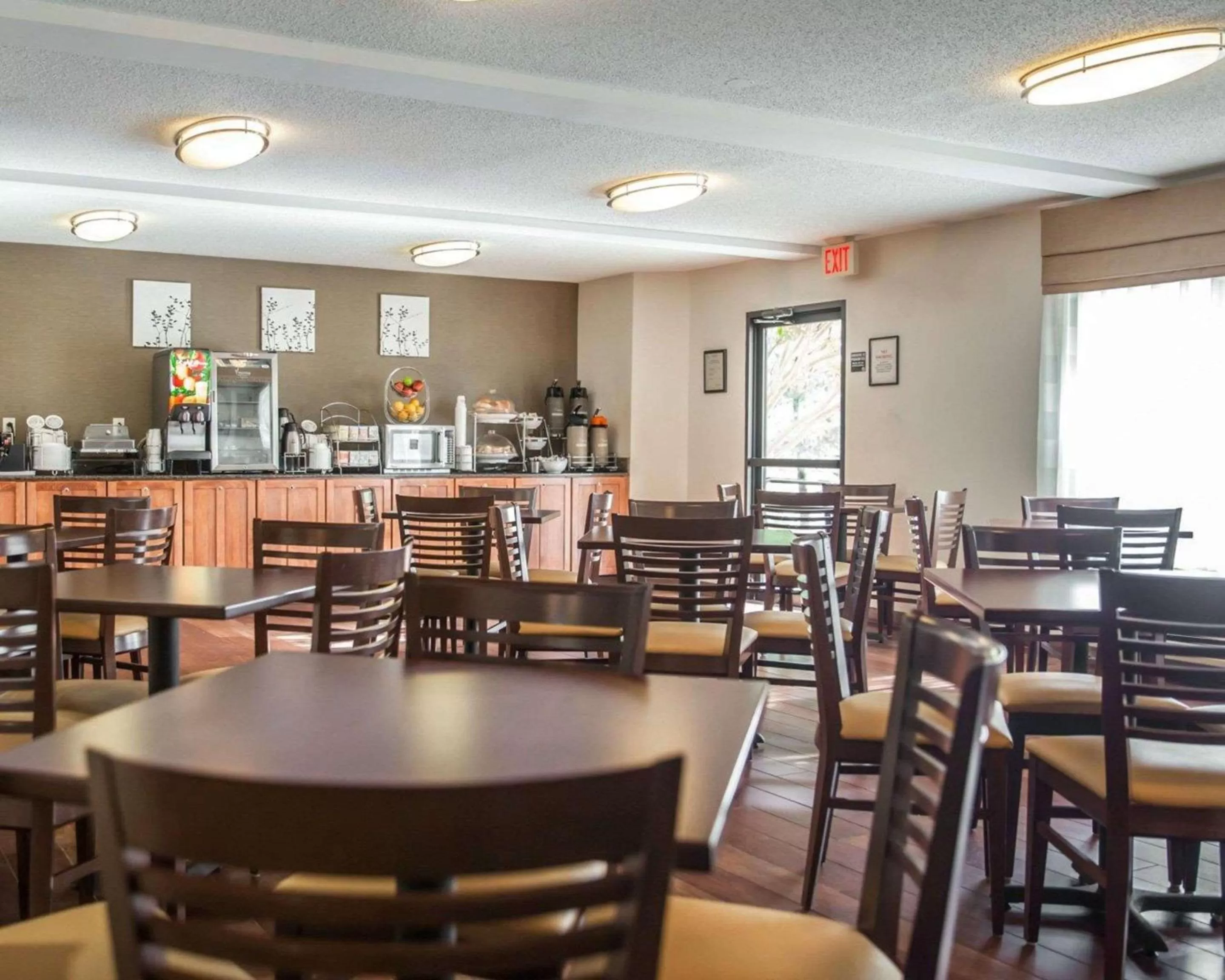 Restaurant/places to eat in Sleep Inn Rockville