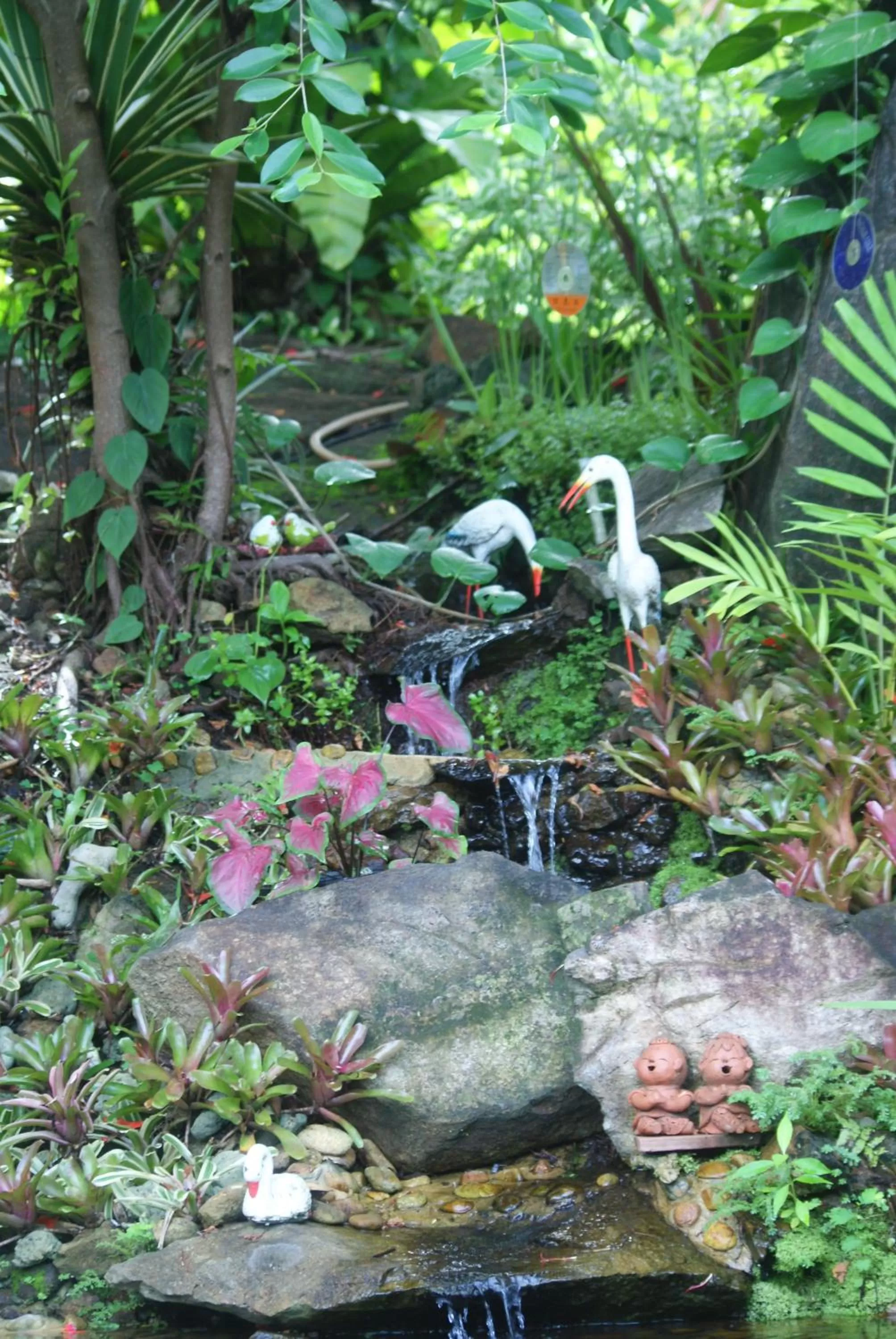 Garden, Other Animals in Rock Inn Bailan