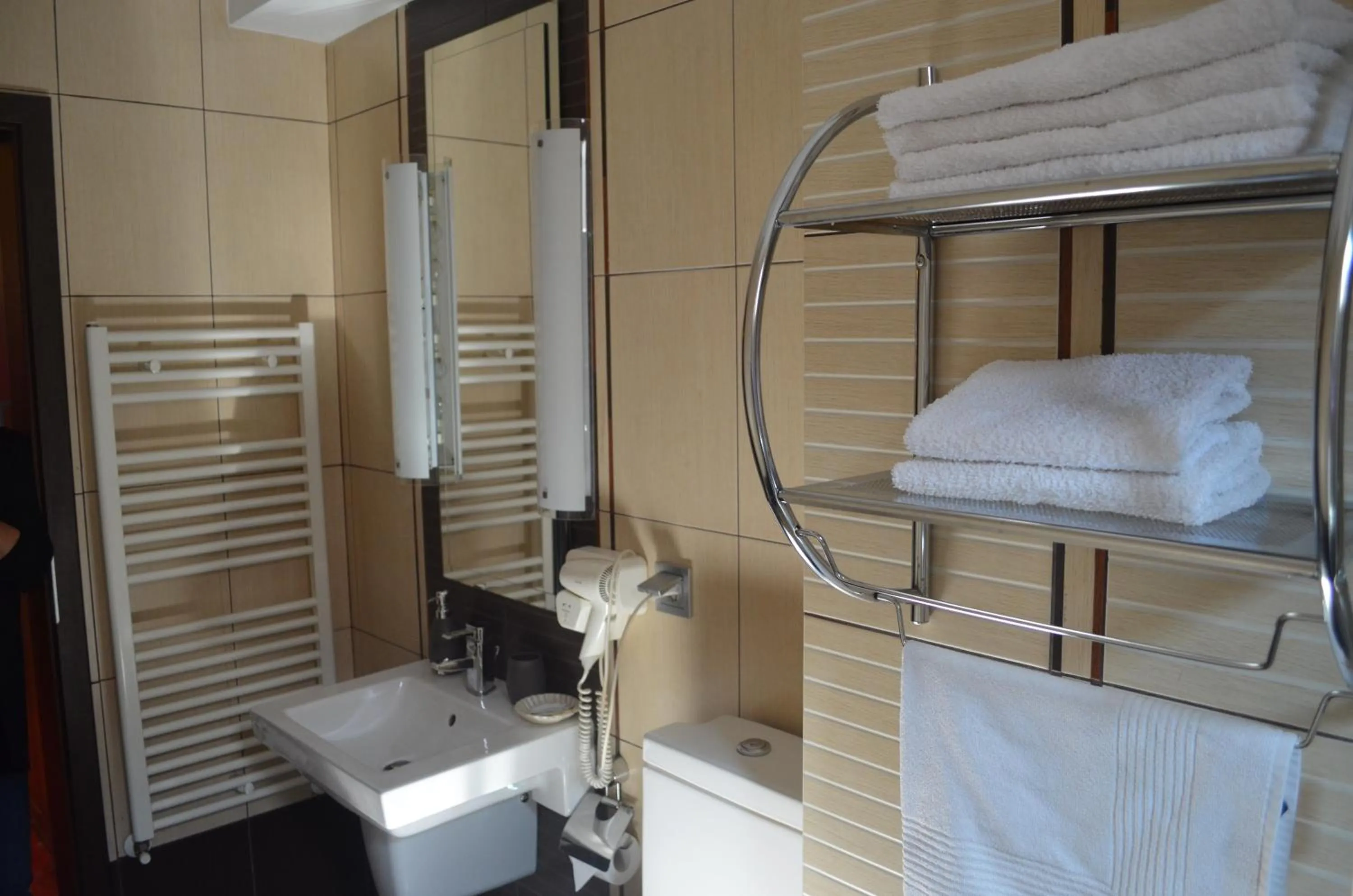 Bathroom in Hotel Premier