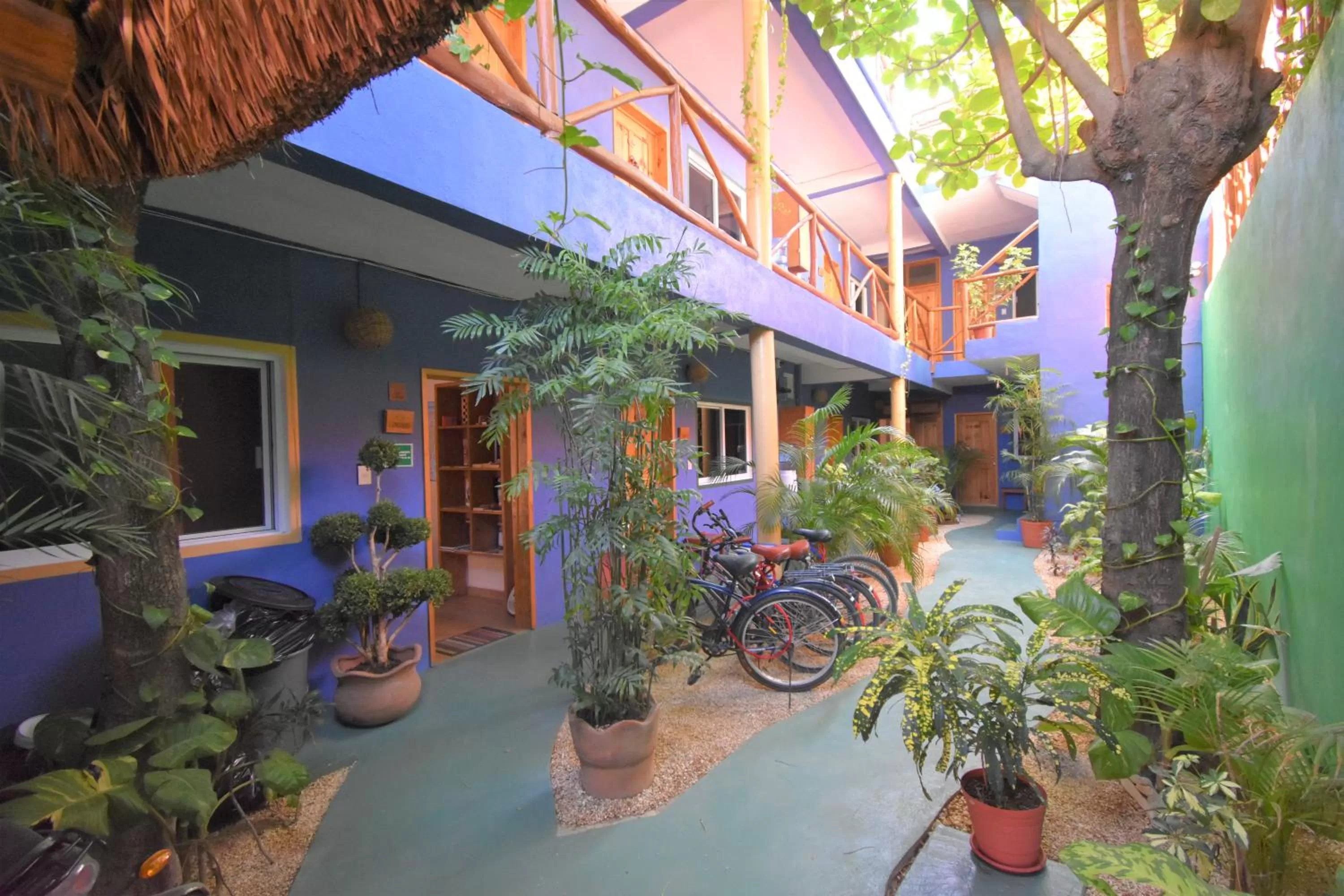 Garden view in Casa Almendro