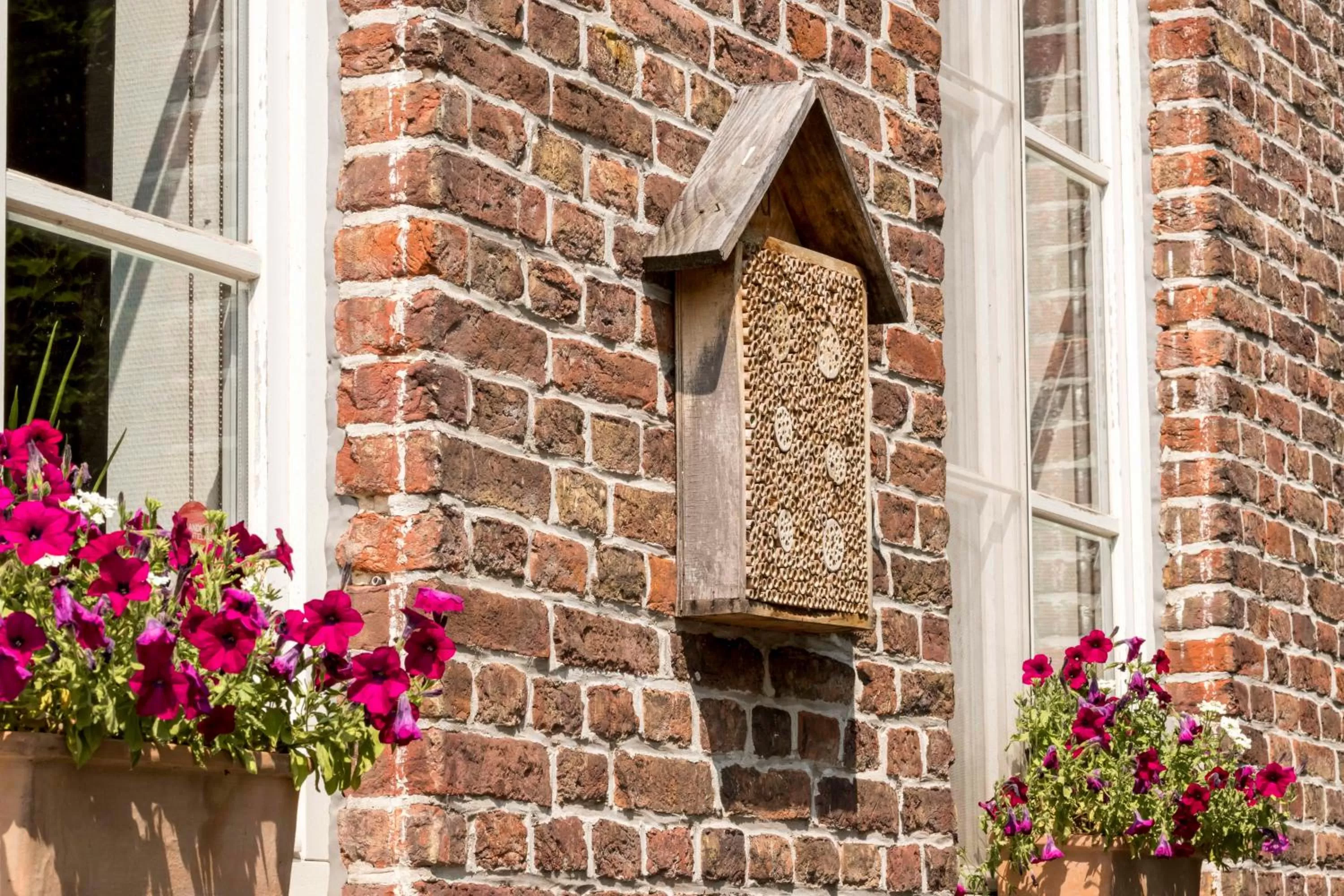 Garden in De Pastorie