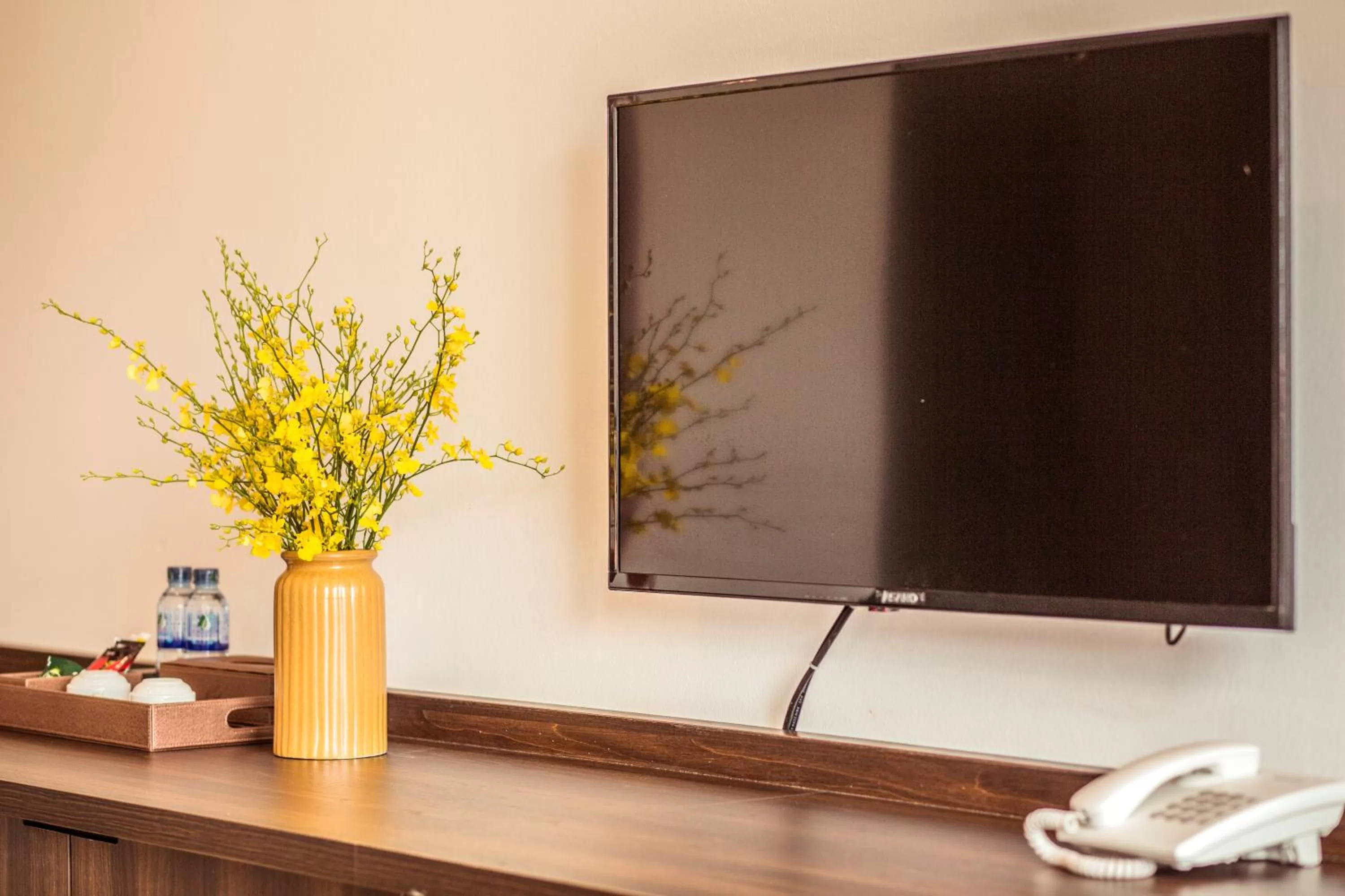 TV and multimedia in Salina Hotel Ninh Binh