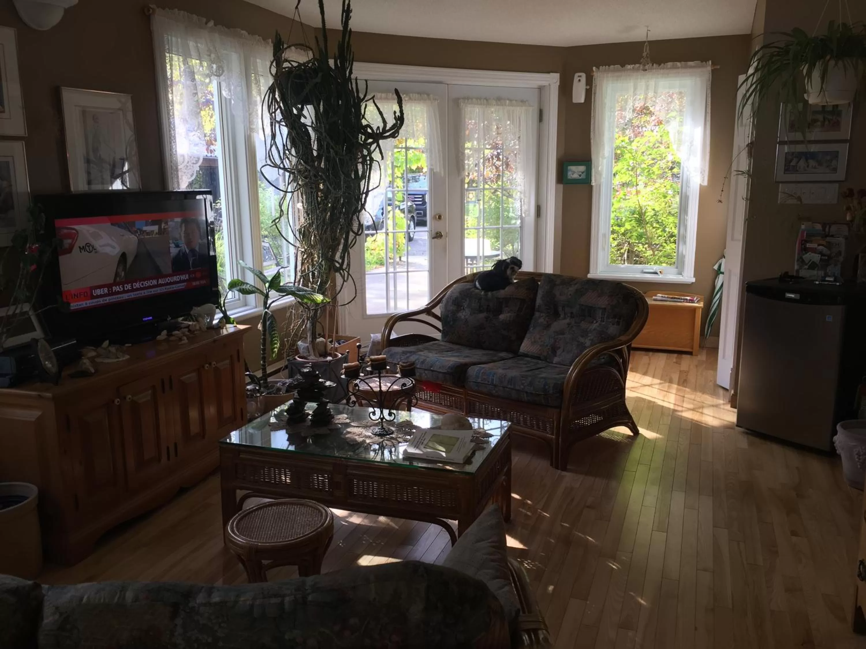 Property building in Gite du Lac Docteur