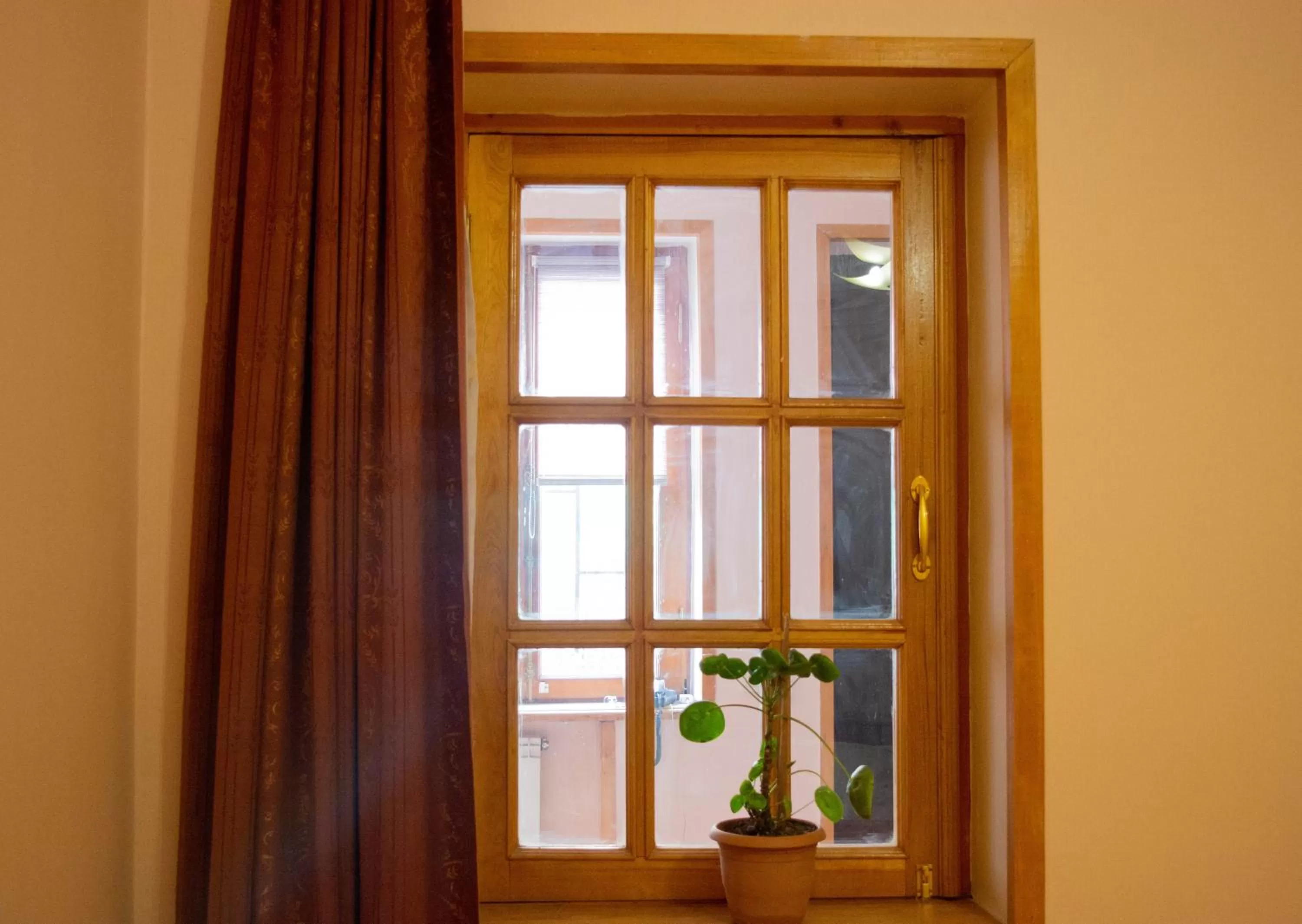 Property building in Sunflower Hotel