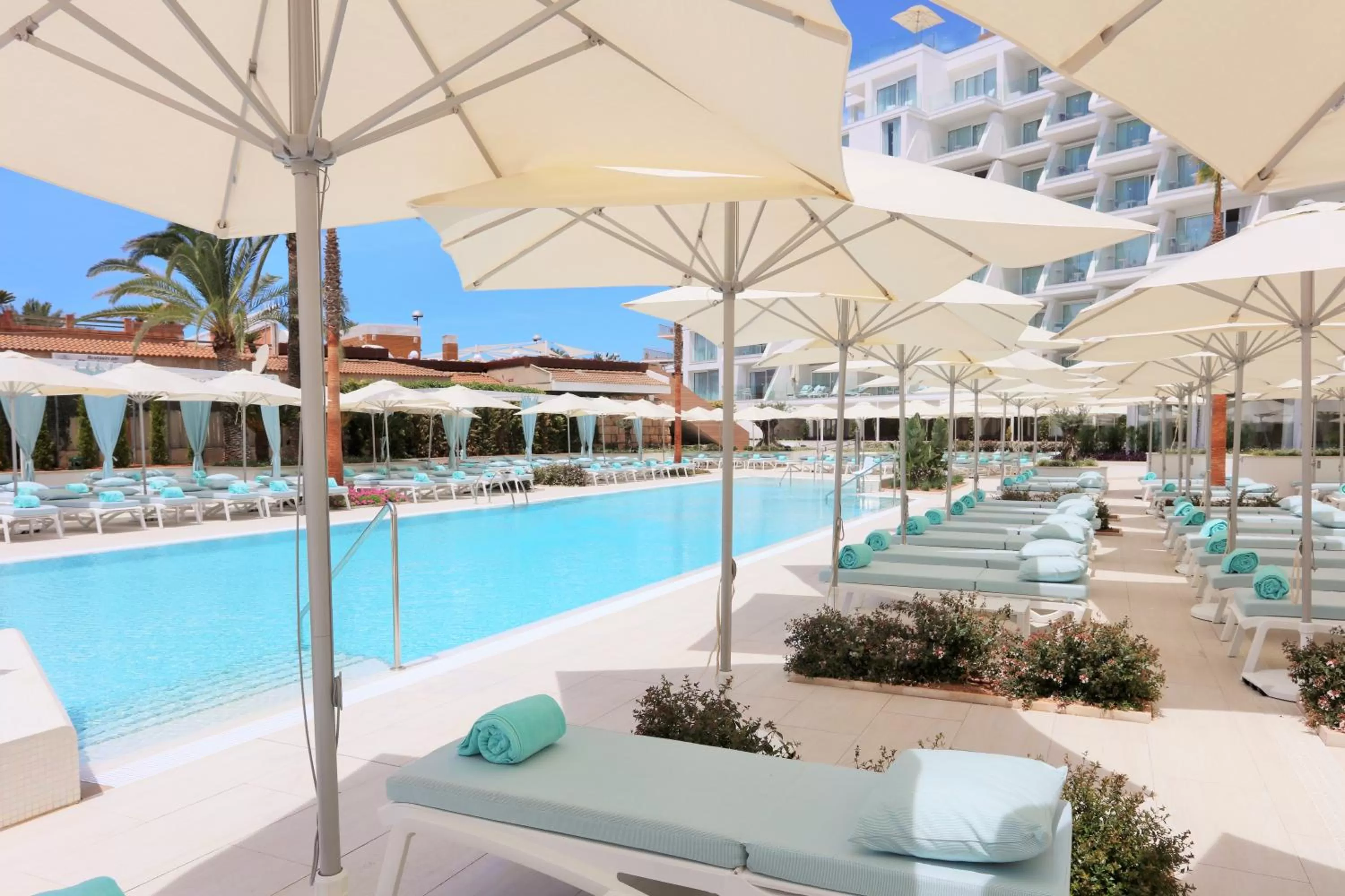 Swimming pool in Iberostar Selection Playa de Palma