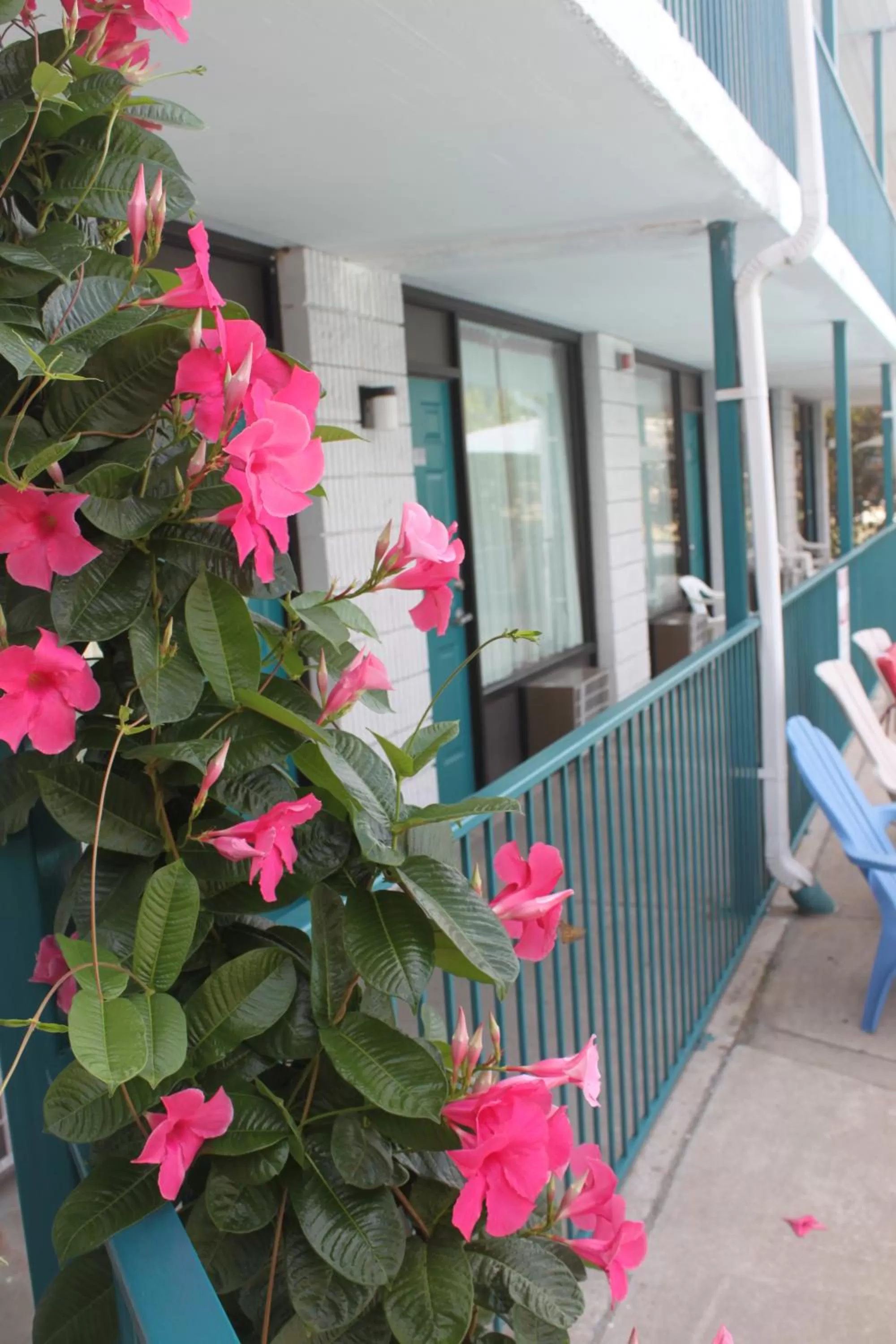 Garden in Ozark Valley Inn