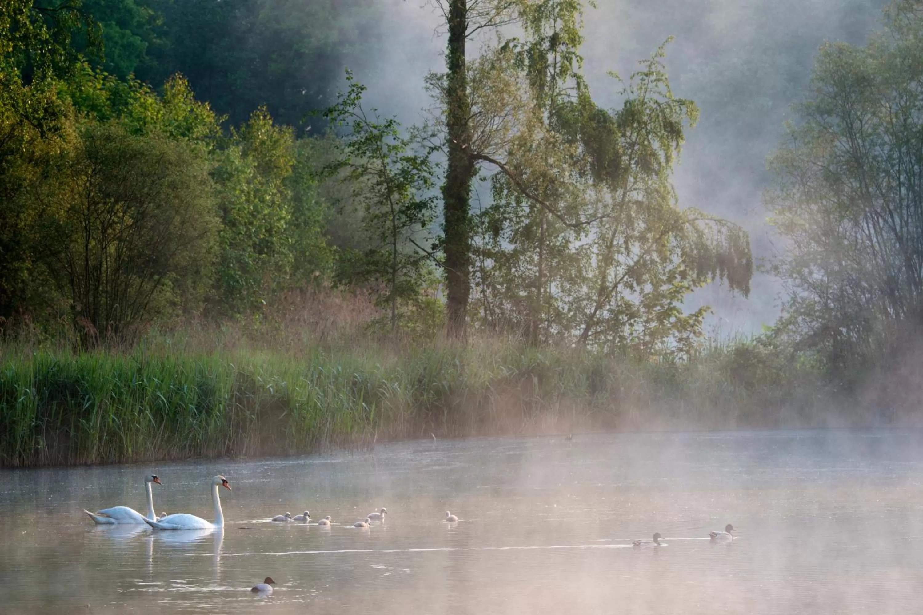 Natural landscape in B&B Baron’s House Neerijse-Leuven