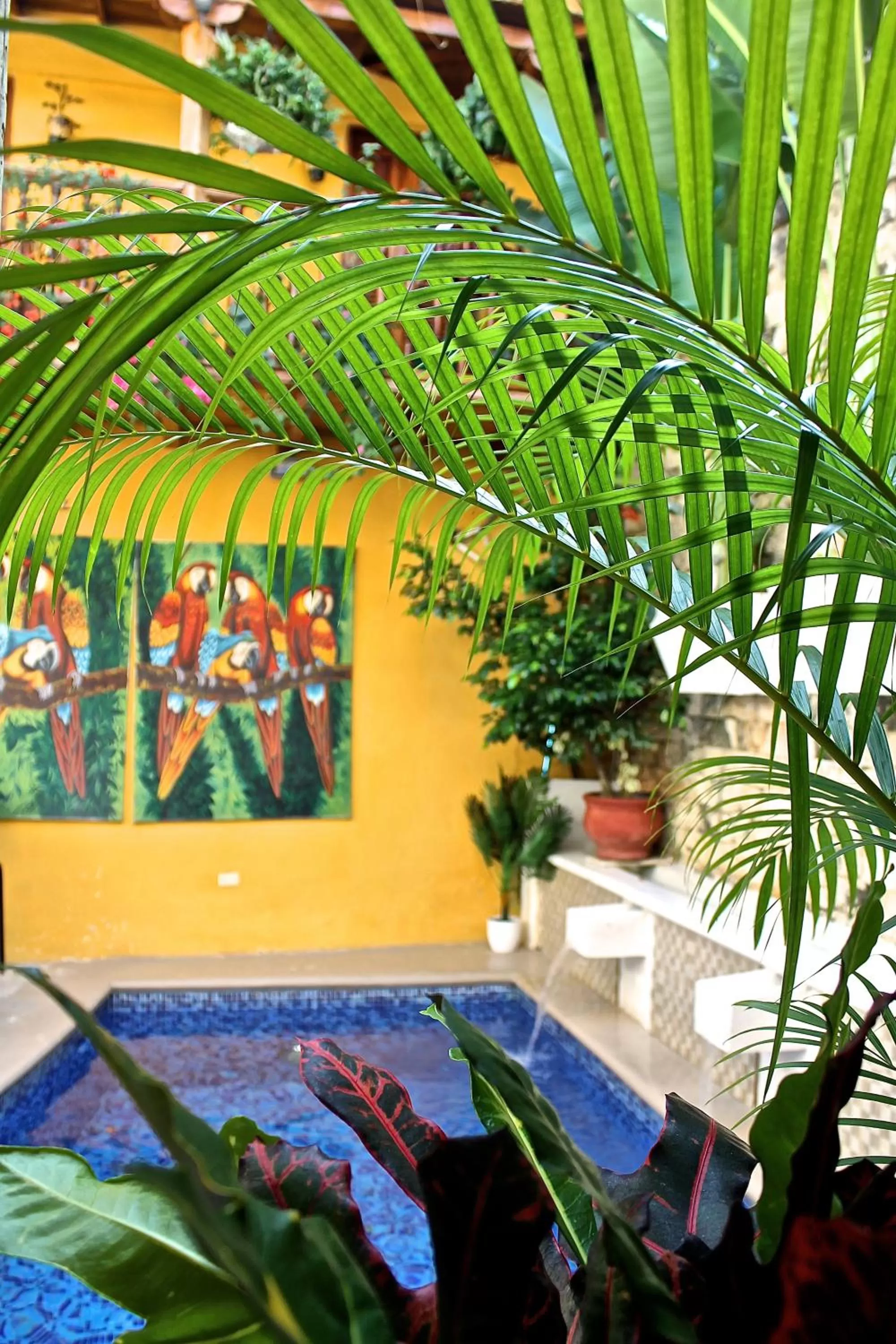 Patio in Hotel Casa Gloria Boutique