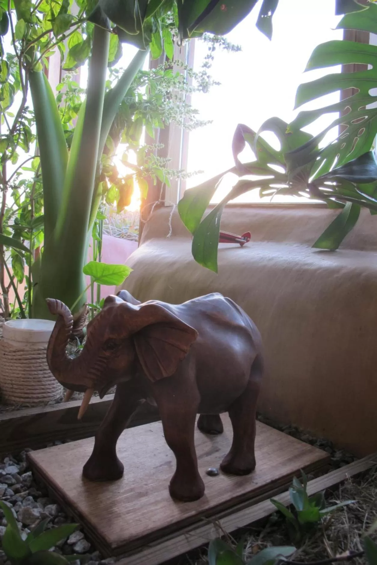 Bedroom, Other Animals in Caliu Earthship Ecolodge