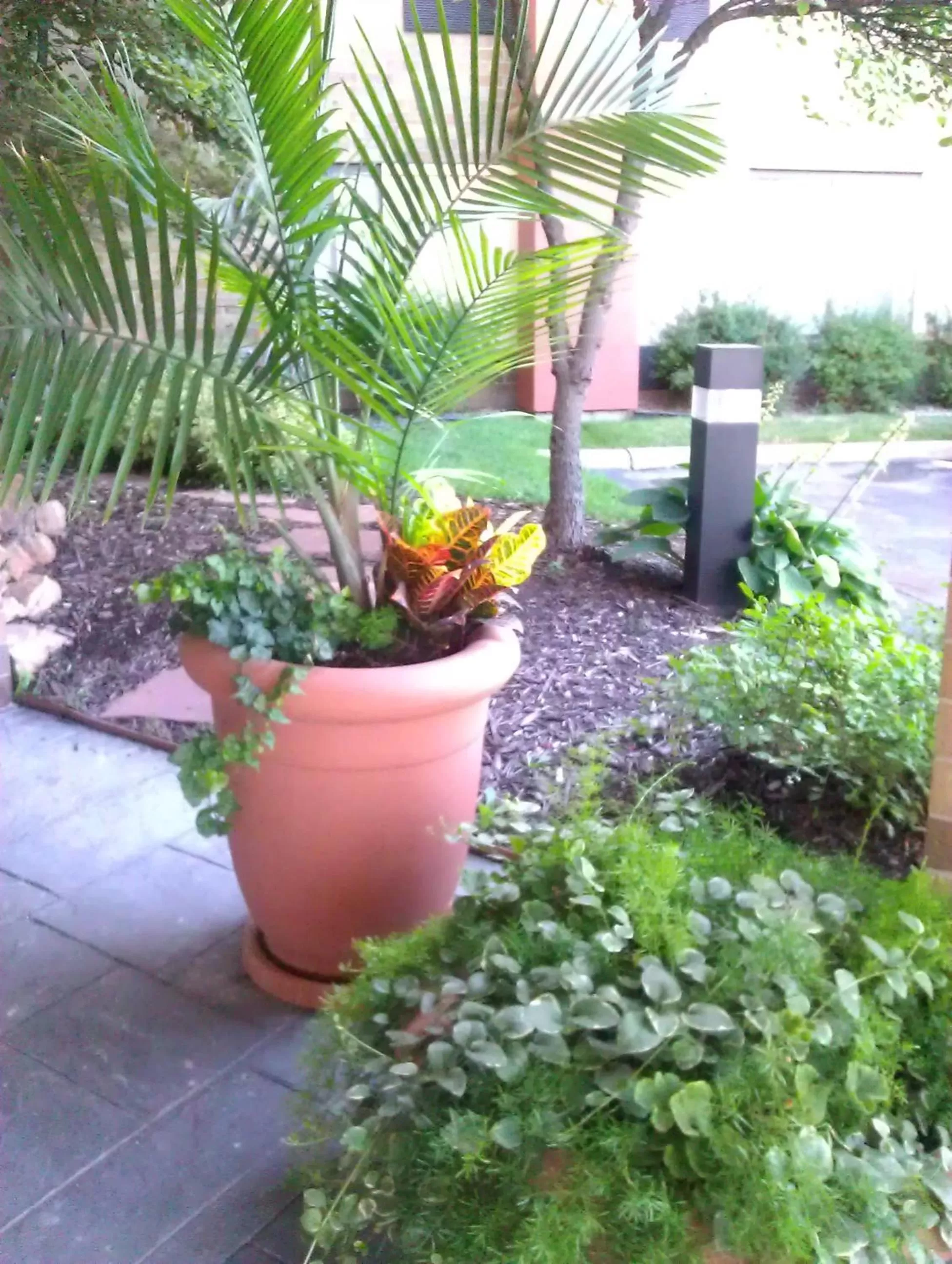 Day in AmericInn by Wyndham Omaha