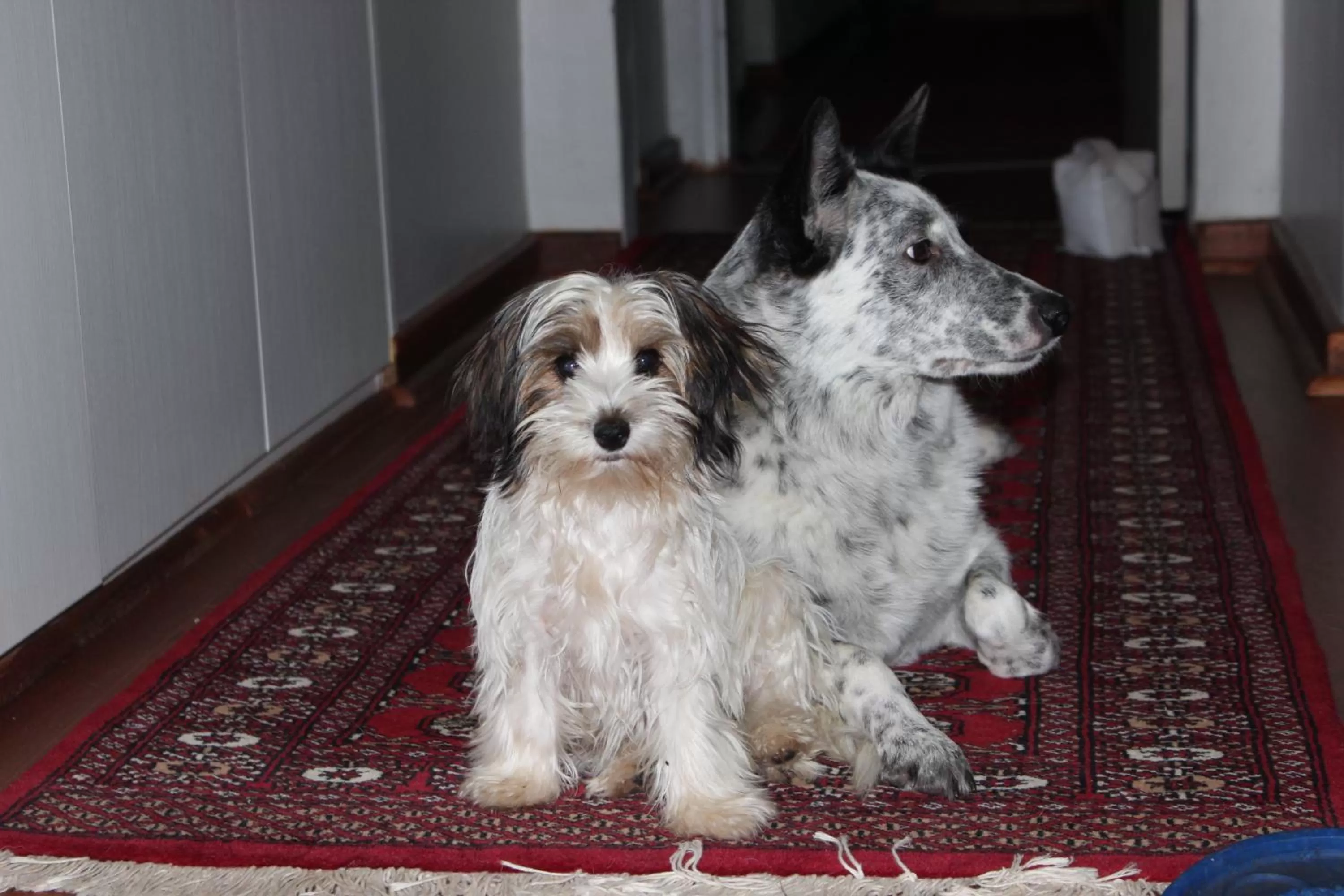 Property building in Argyll B&B