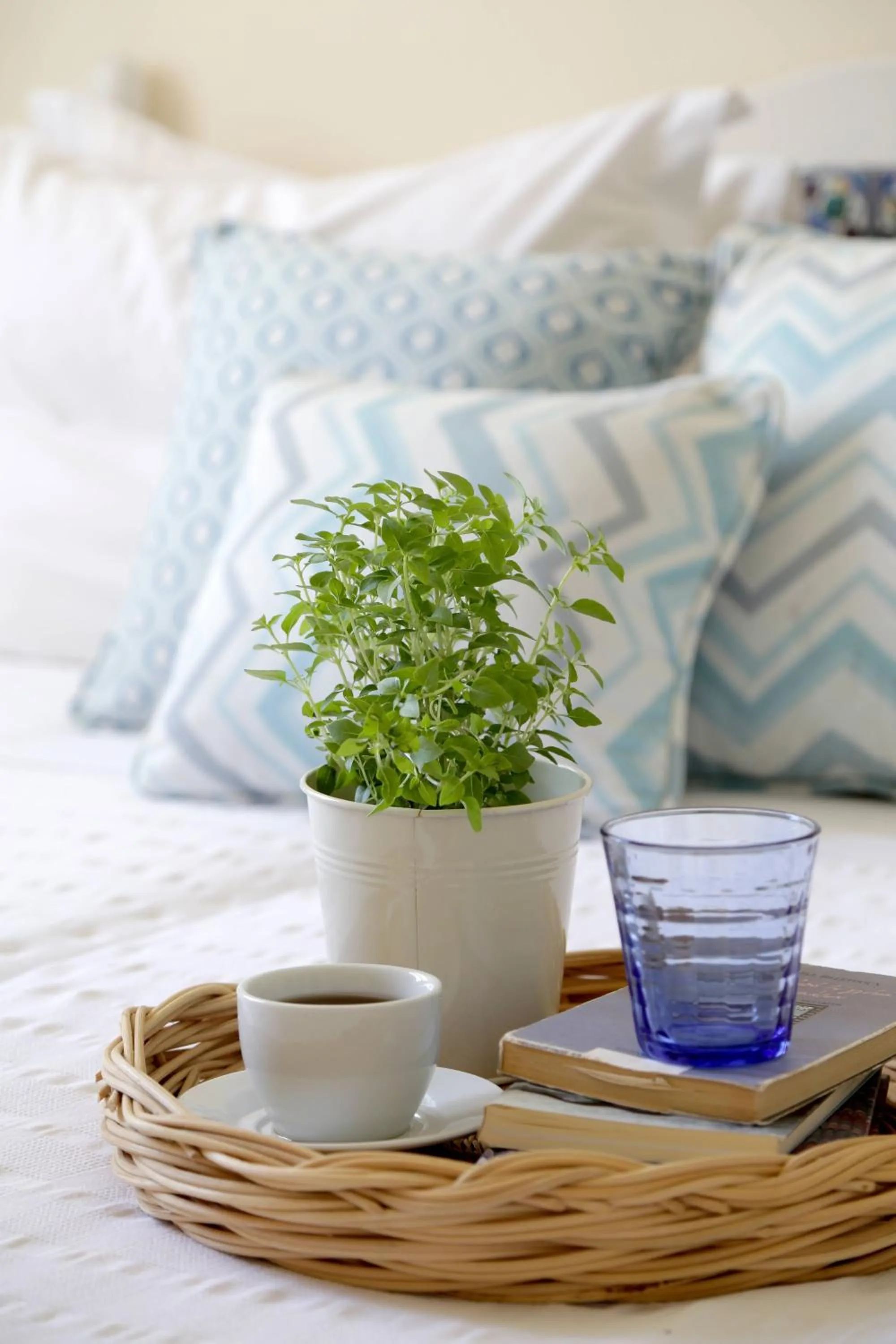 Double Room in Skopelos Village Hotel