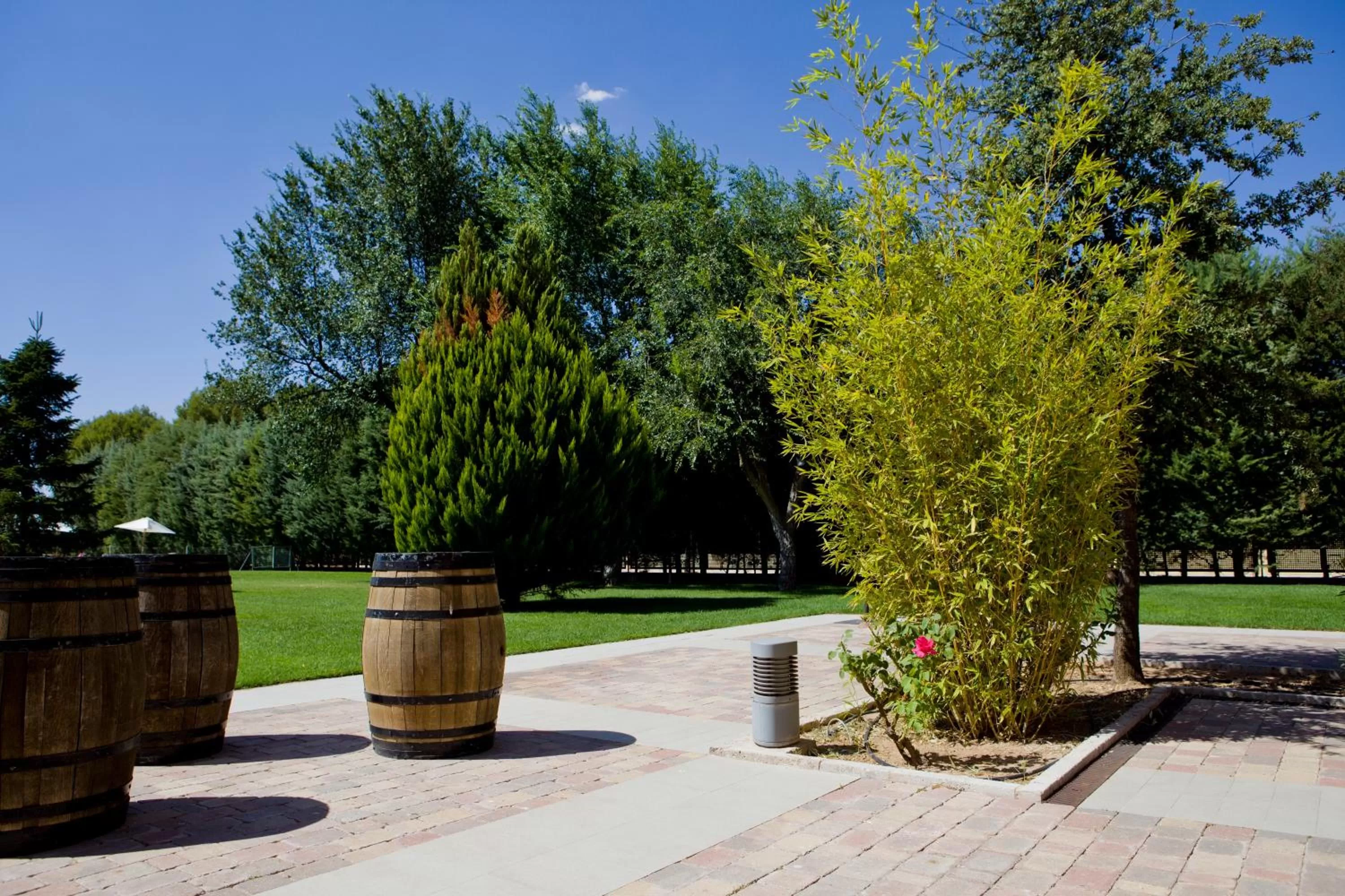 Off site in Intur Alcazar de San Juan