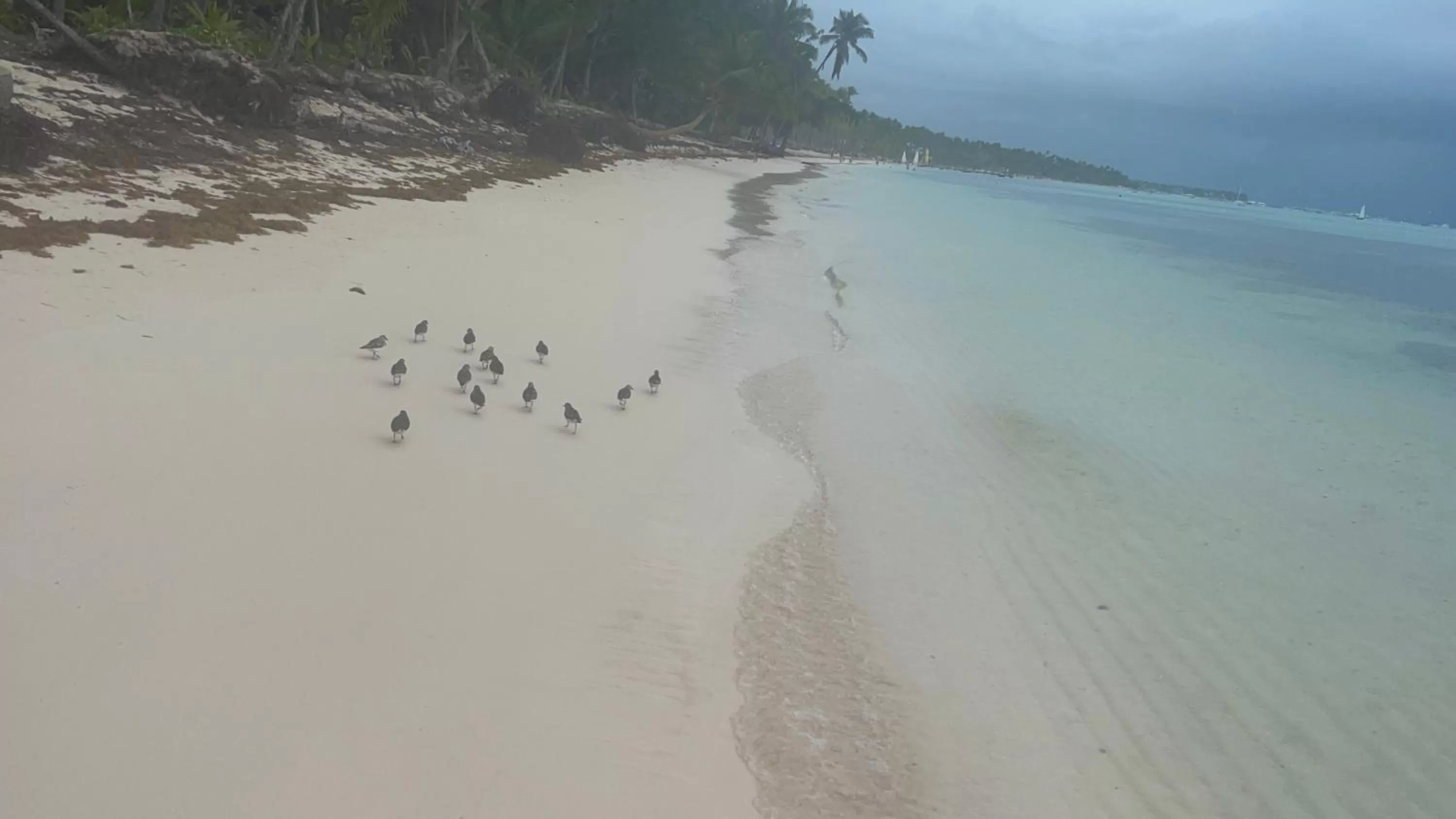 Beach in Yonah comfort punta cana, shared apartment