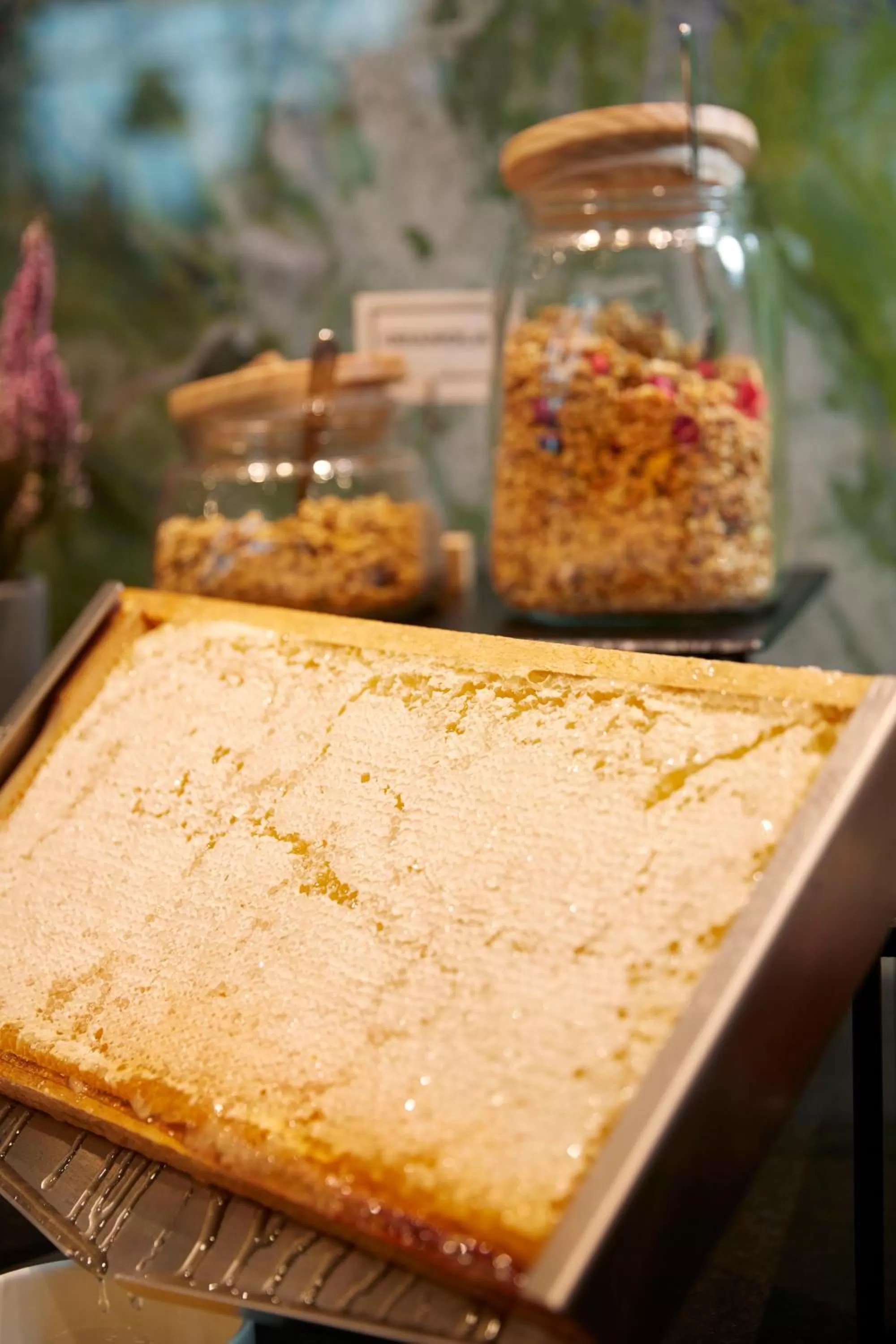 Breakfast in Q Hotel Plus Wrocław Bielany