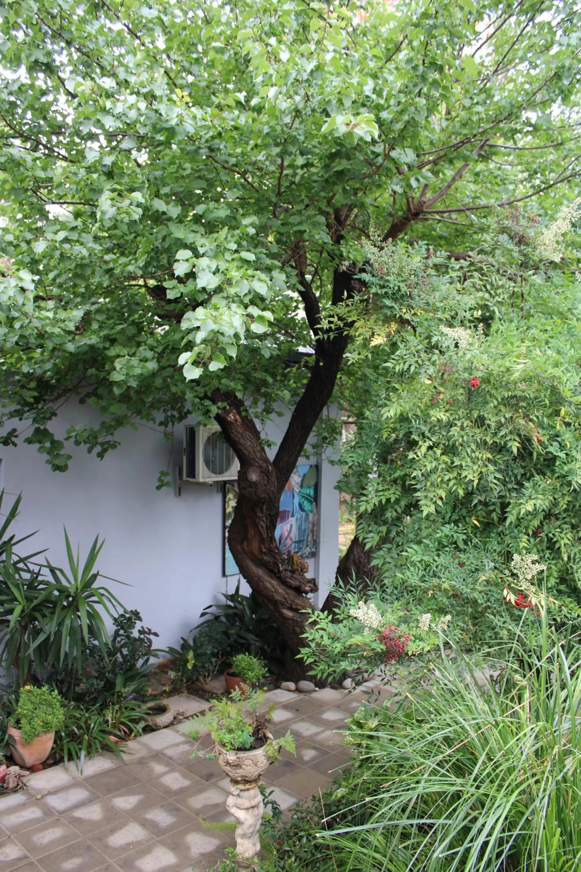 Property building in Jedidja Bed and Breakfast