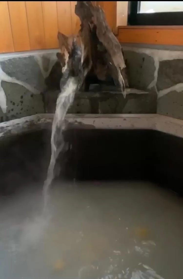 Swimming Pool in Hoshi no Sato