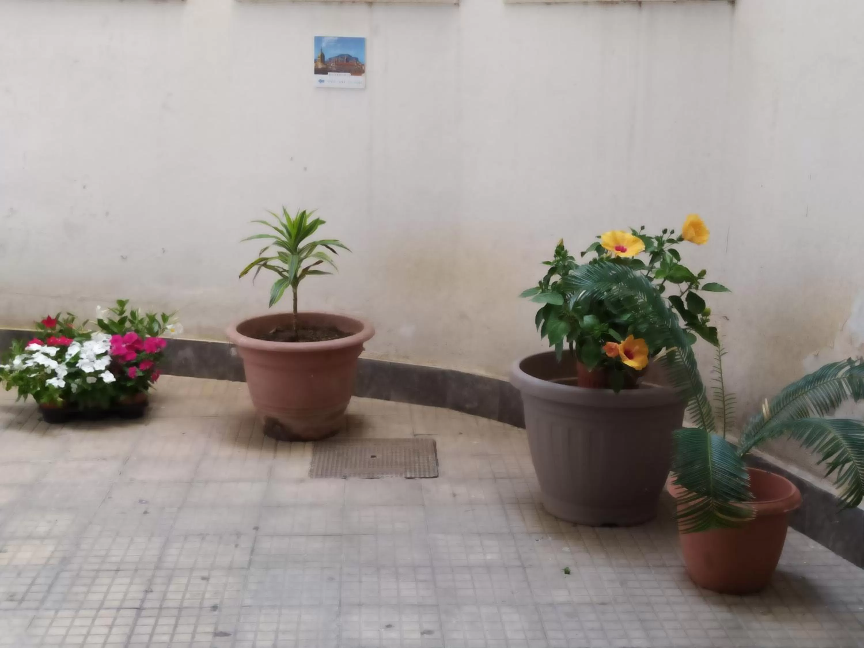 Other in B&b Ballarattik