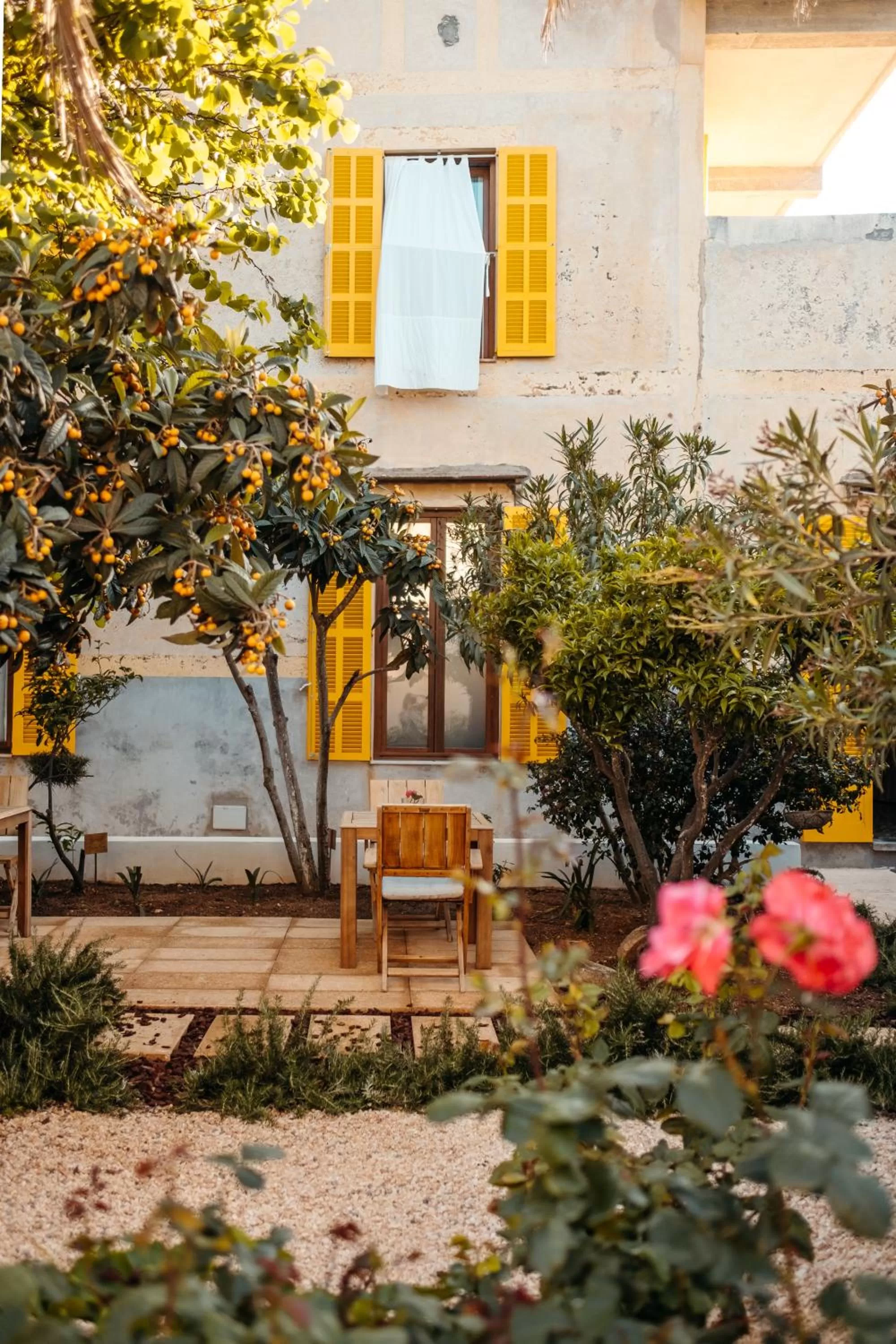 Garden view in Hotel Boutique Can Pocovi