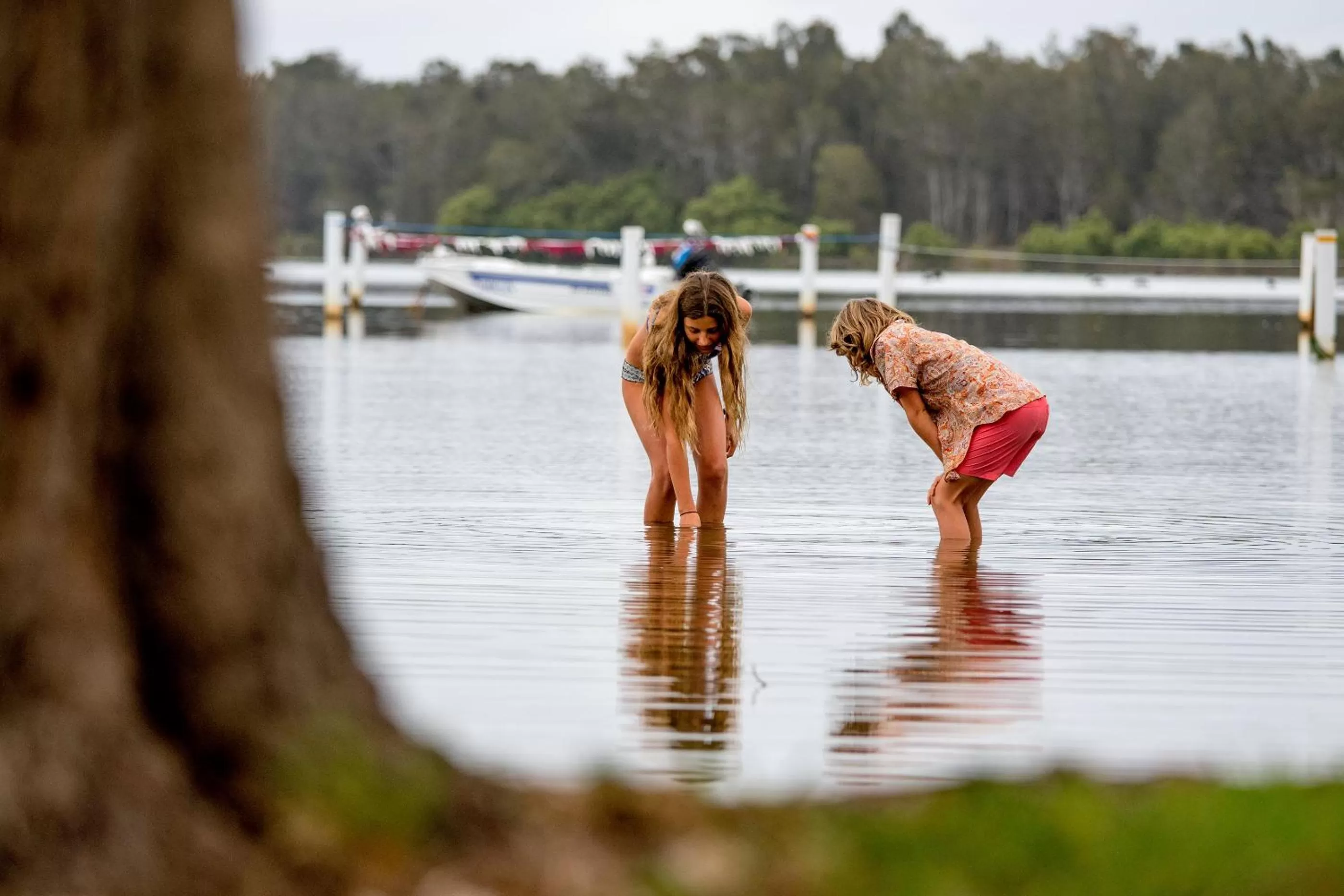 Natural landscape in Lakeside Forster Holiday Park