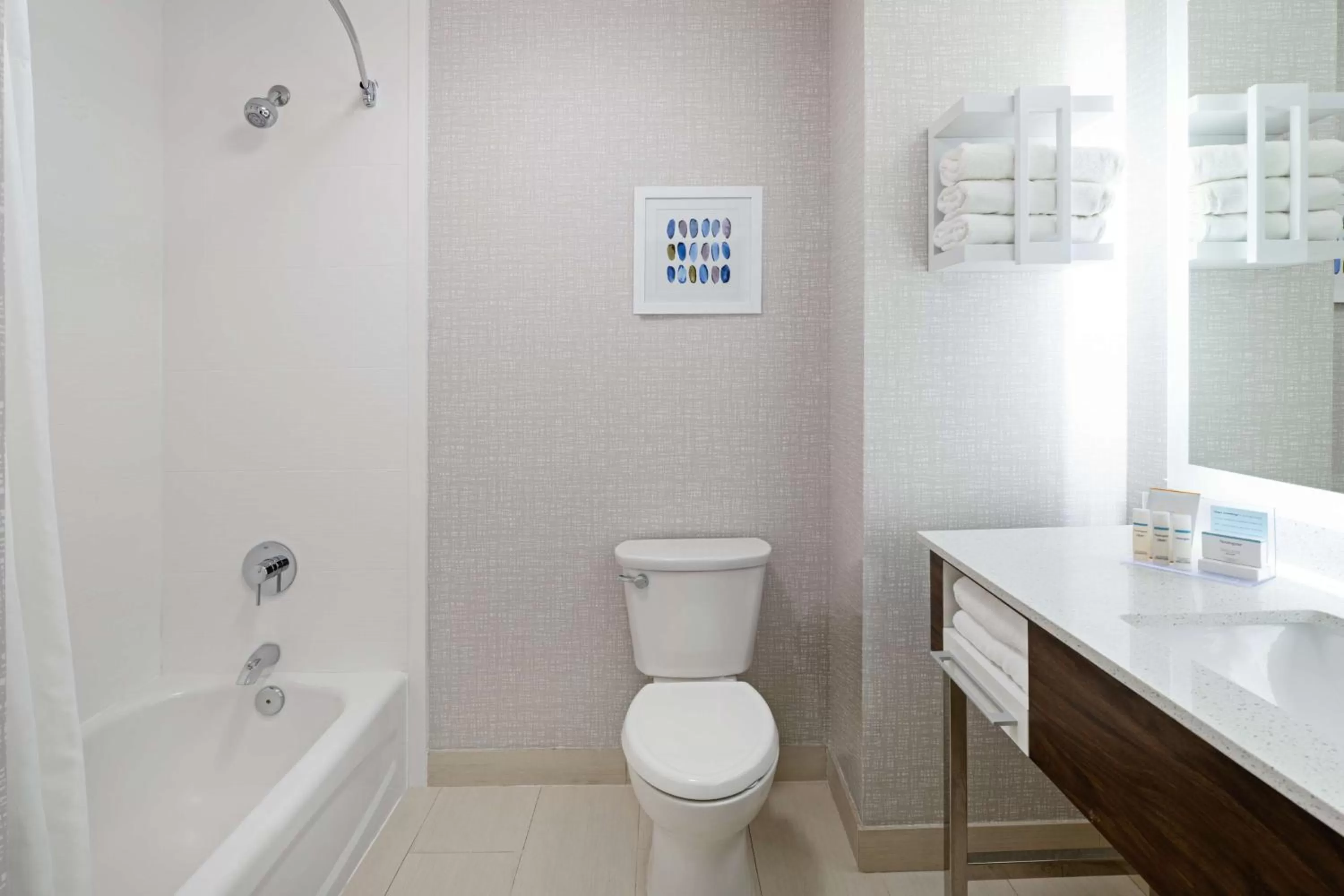 Bathroom in Hampton Inn Richmond/Midlothian Turnpike