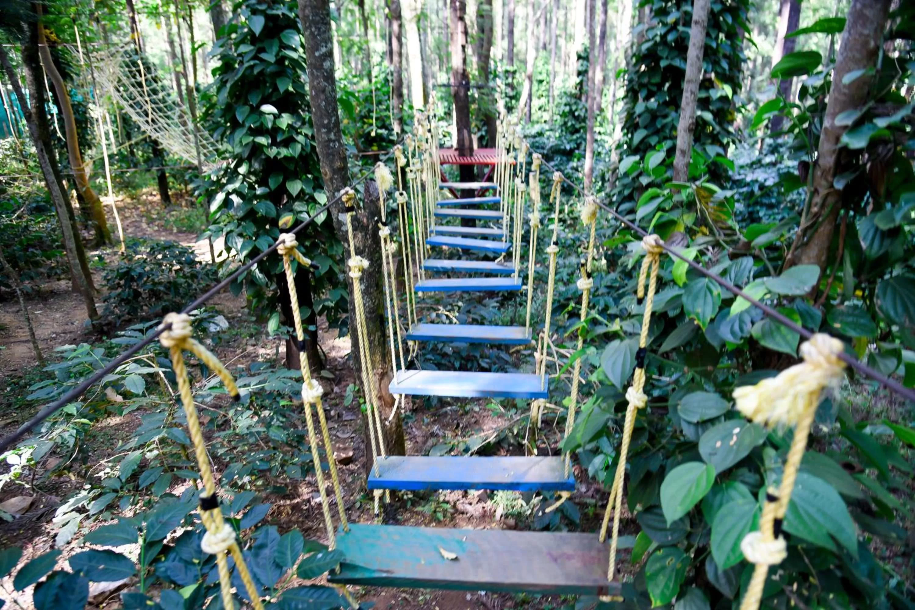 Activities in The Spectrum Resort, Chikmagalur