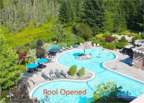 Swimming pool in Hilltop Inn - Salmon Arm