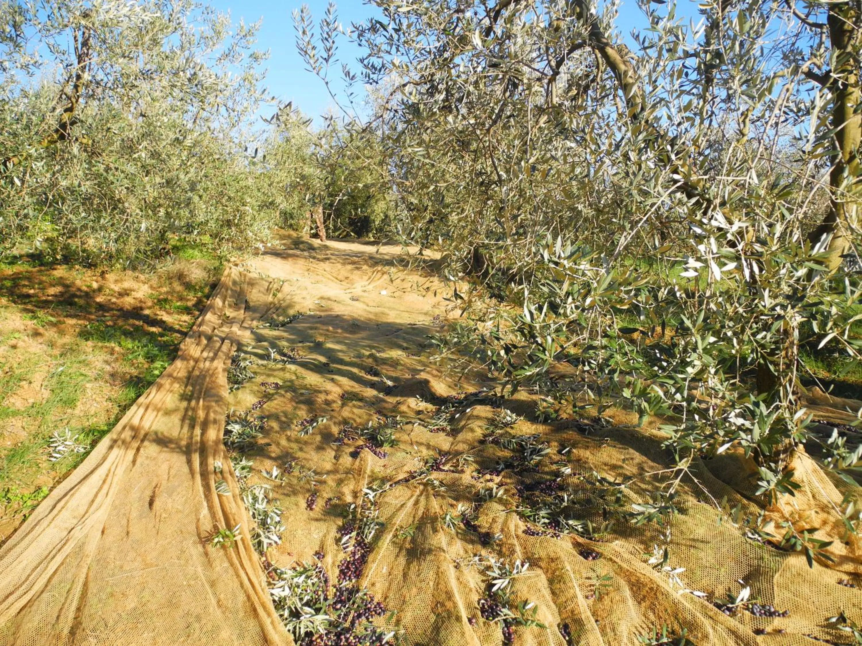 On site in Hotel Le Renaie