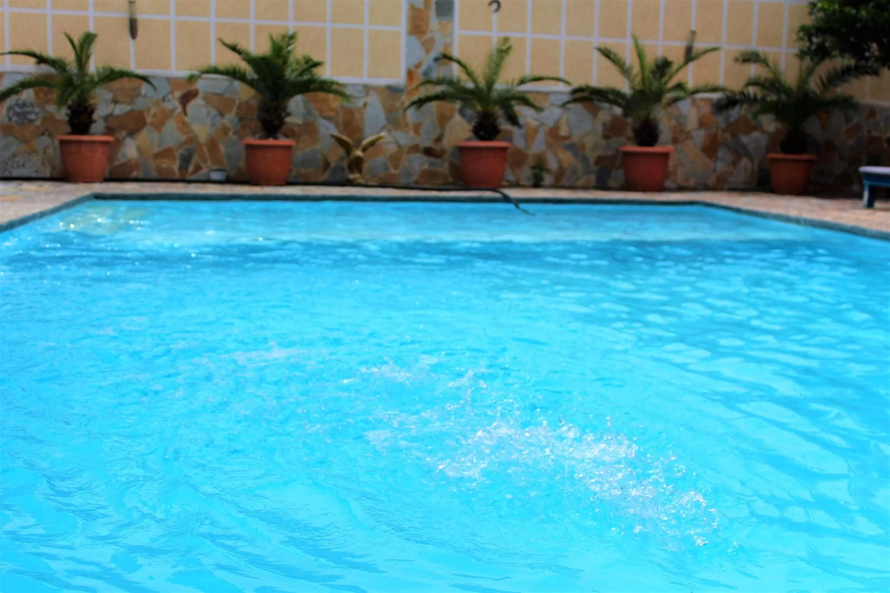 Summer, Swimming Pool in Hotel Frida